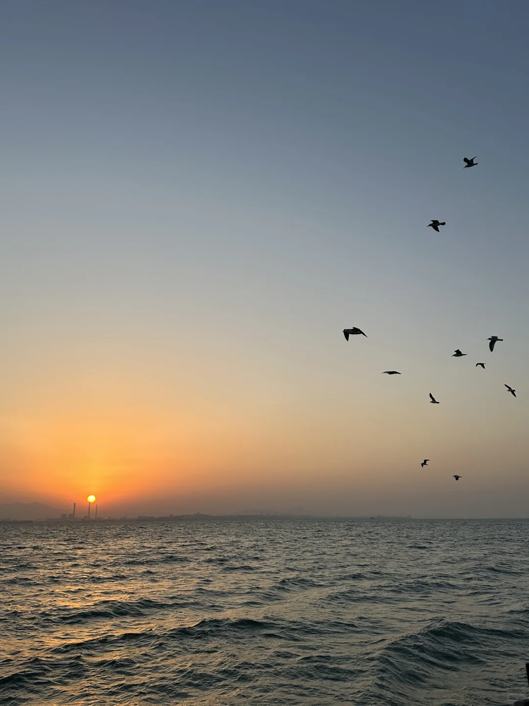 来青岛花的最值钱的。。。。。