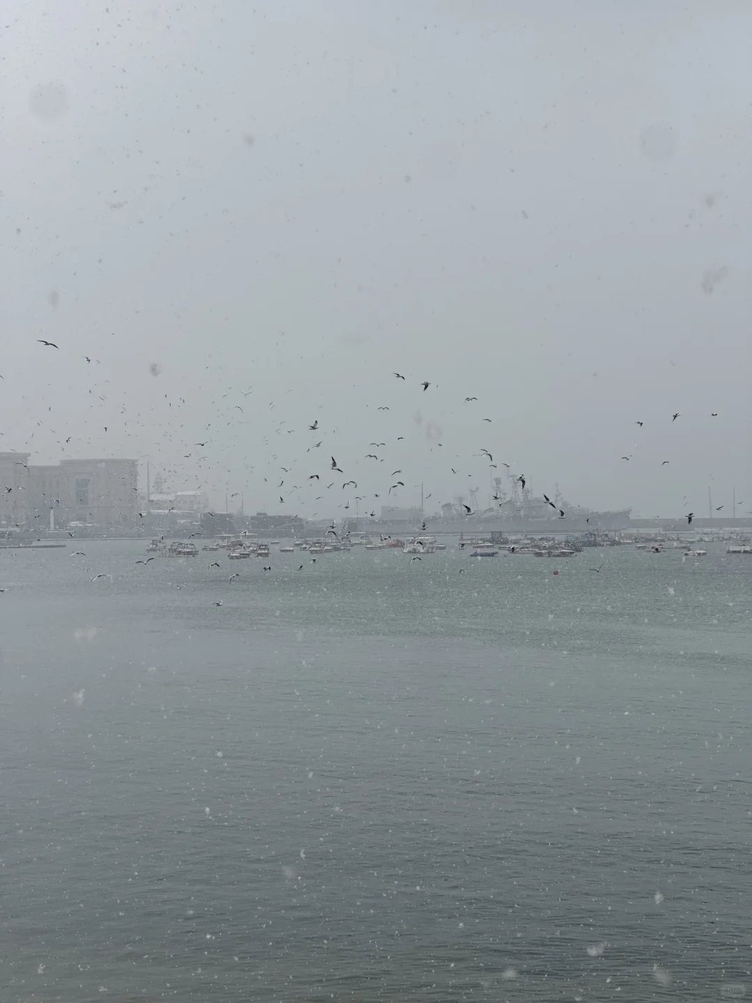 12.13初雪，在下雪天的青岛街道散步❄️