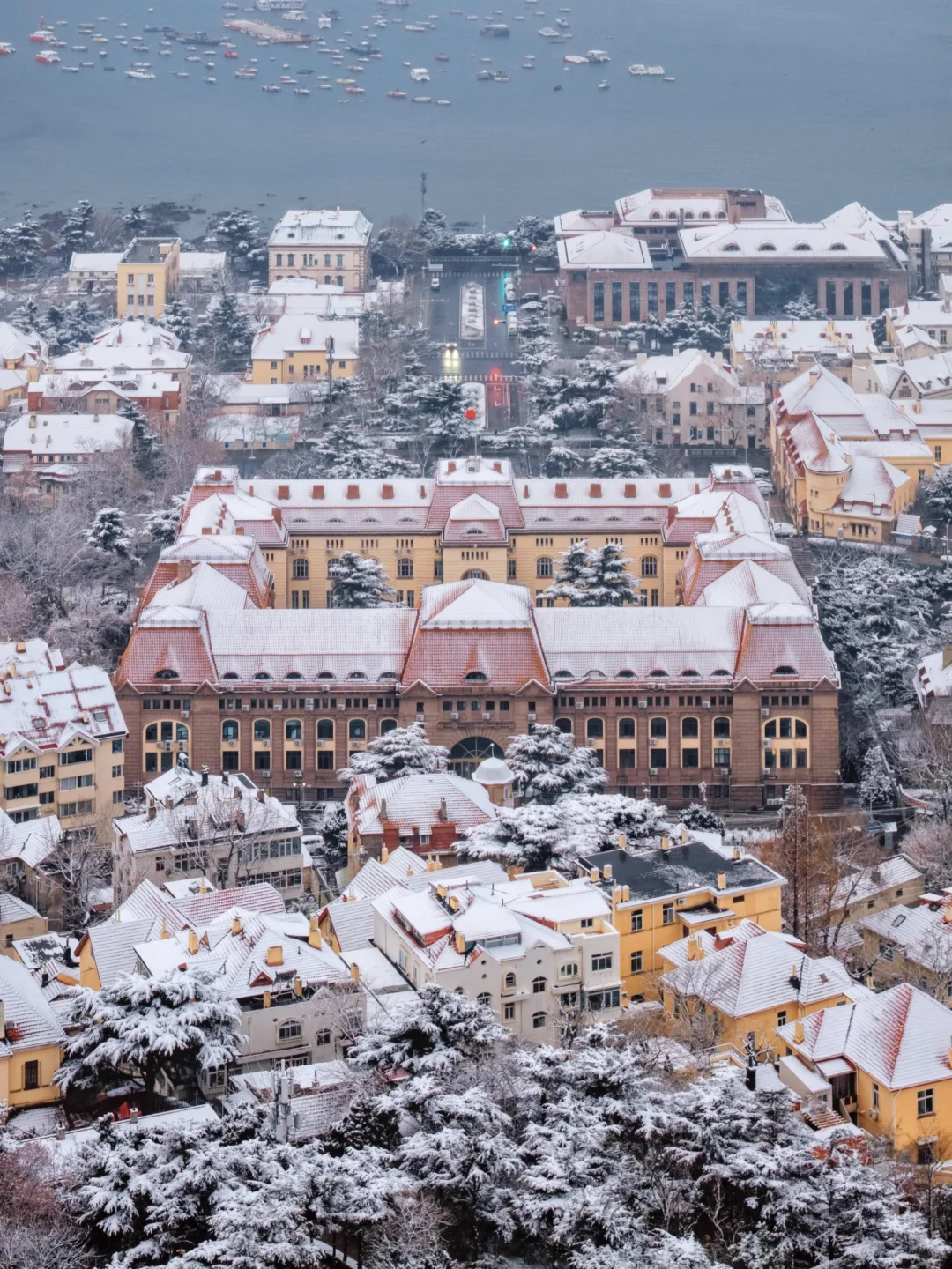 一觉醒来❄️青岛变成了冰岛