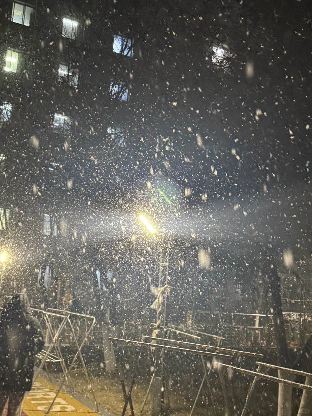 哈哈哈青岛也是下大雪了