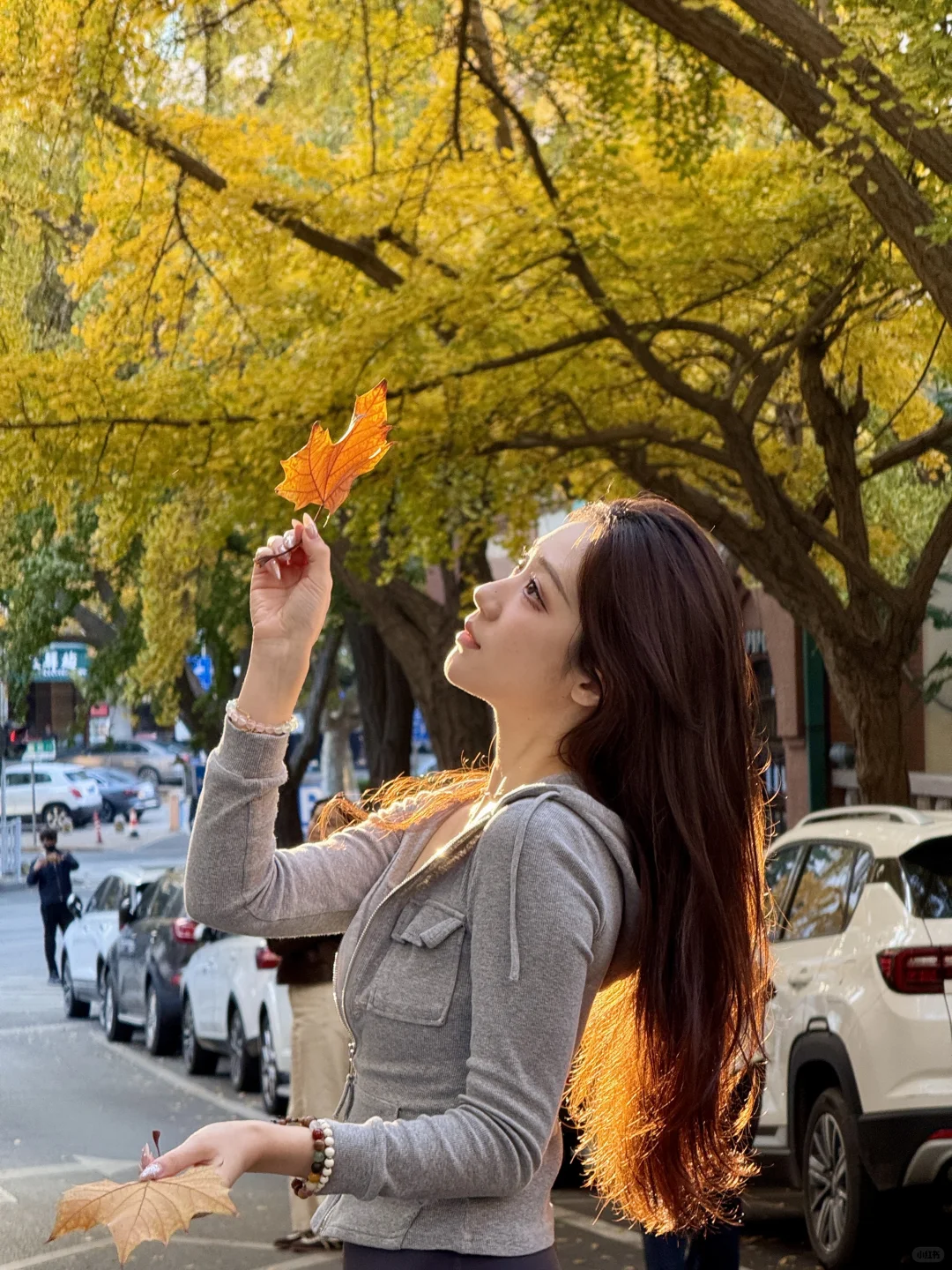 青岛的秋天真的赢麻了🍂