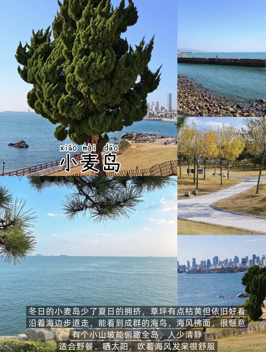 青岛📍两日游 | 保姆级不走回头路逛吃攻略