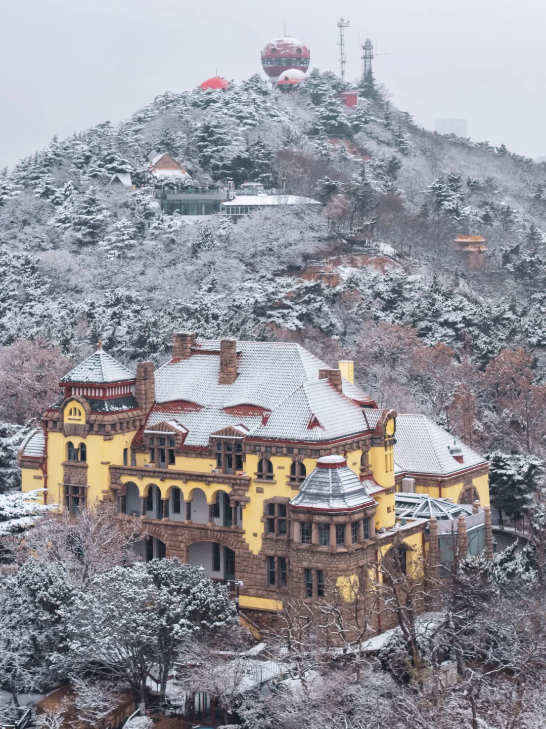 一觉醒来❄️青岛变成了冰岛