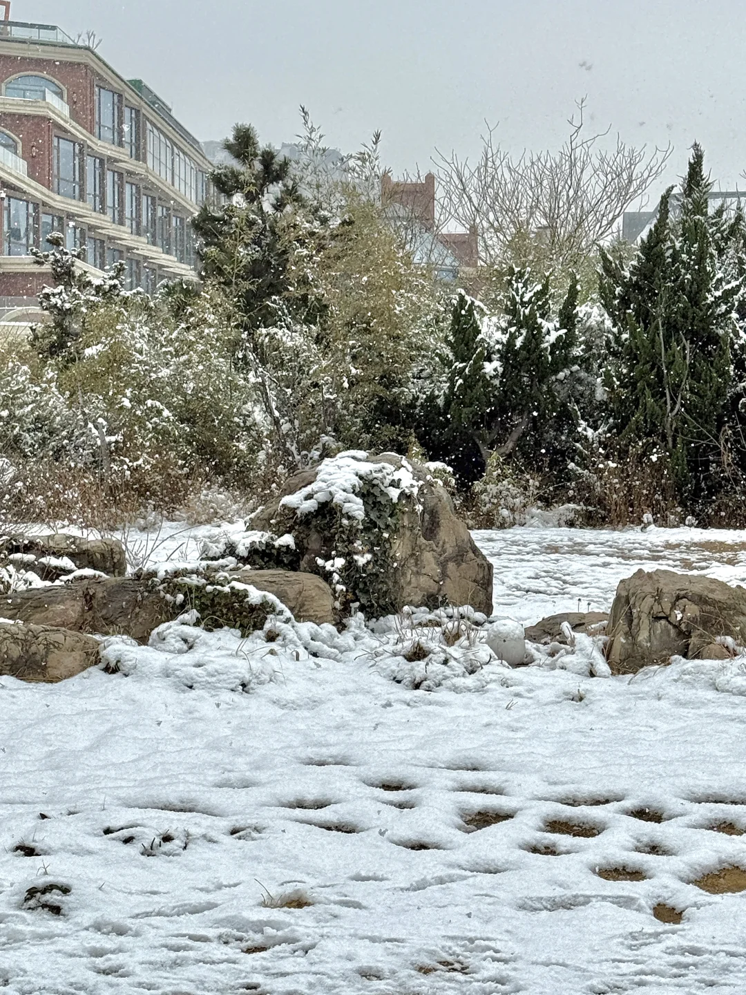 12.13实况，青岛初雪❄️！！美到失语