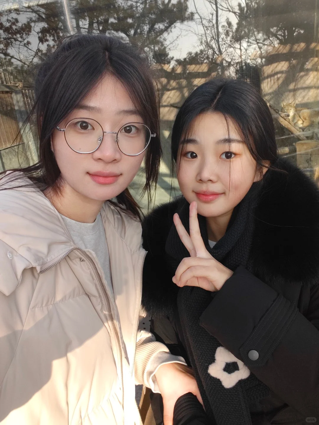 突然翻到了两年前冬天的照片