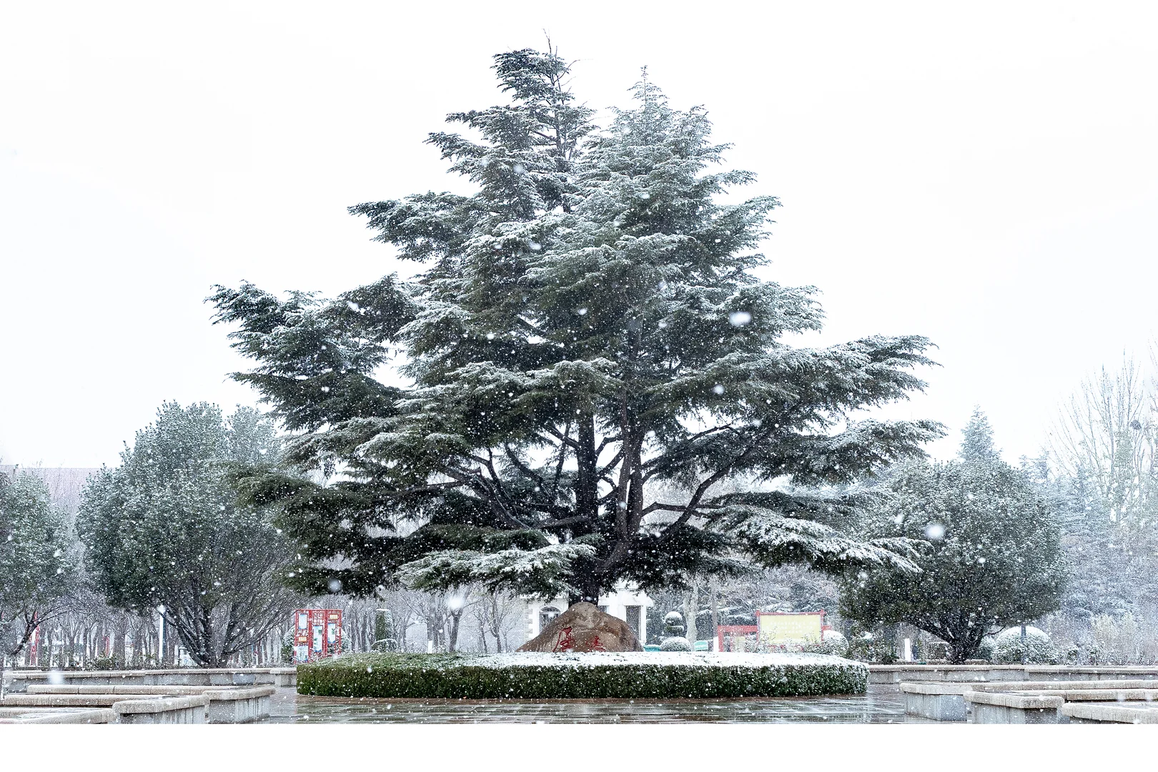 你想跟谁坐在这把椅子上，看今年的第一场雪