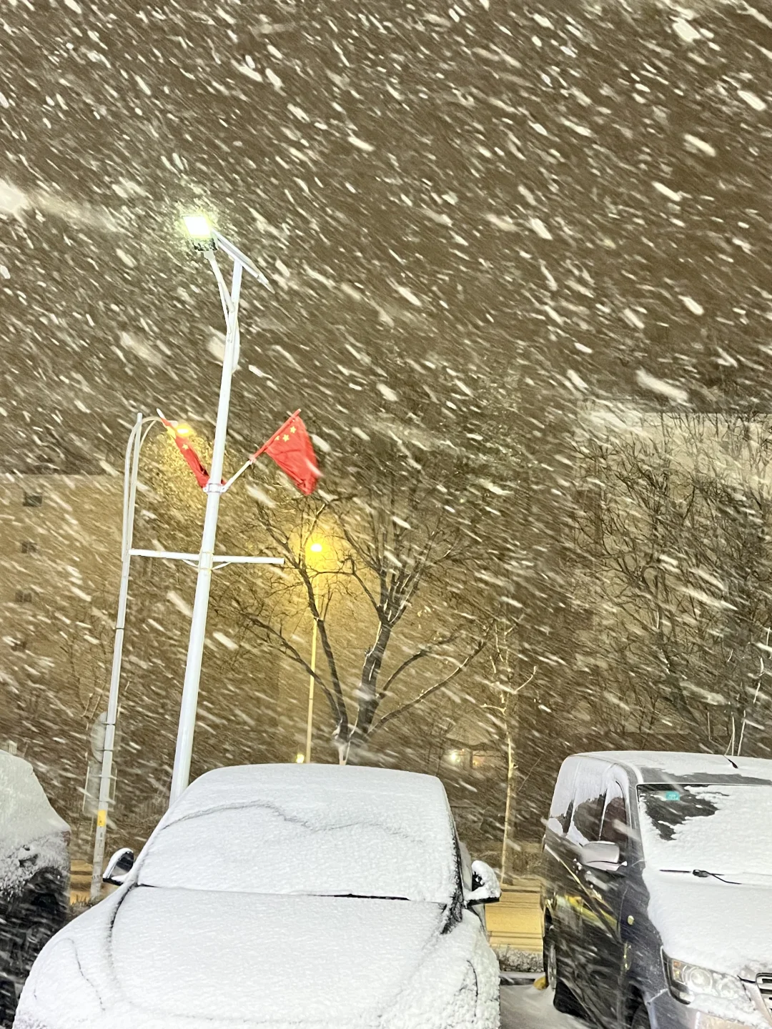 青岛初雪