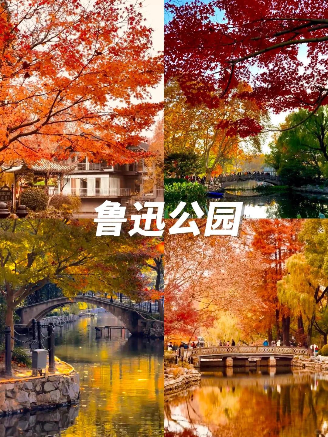 12月来青岛的进👏本地人带路不踩雷攻略‼️