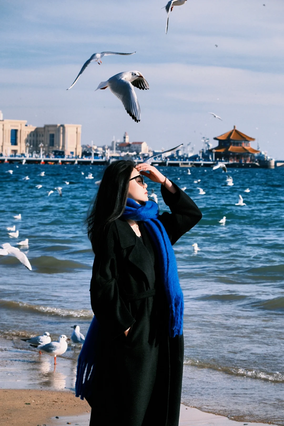 青岛进入海鸥季🕊️该去拍海鸥了（附攻略