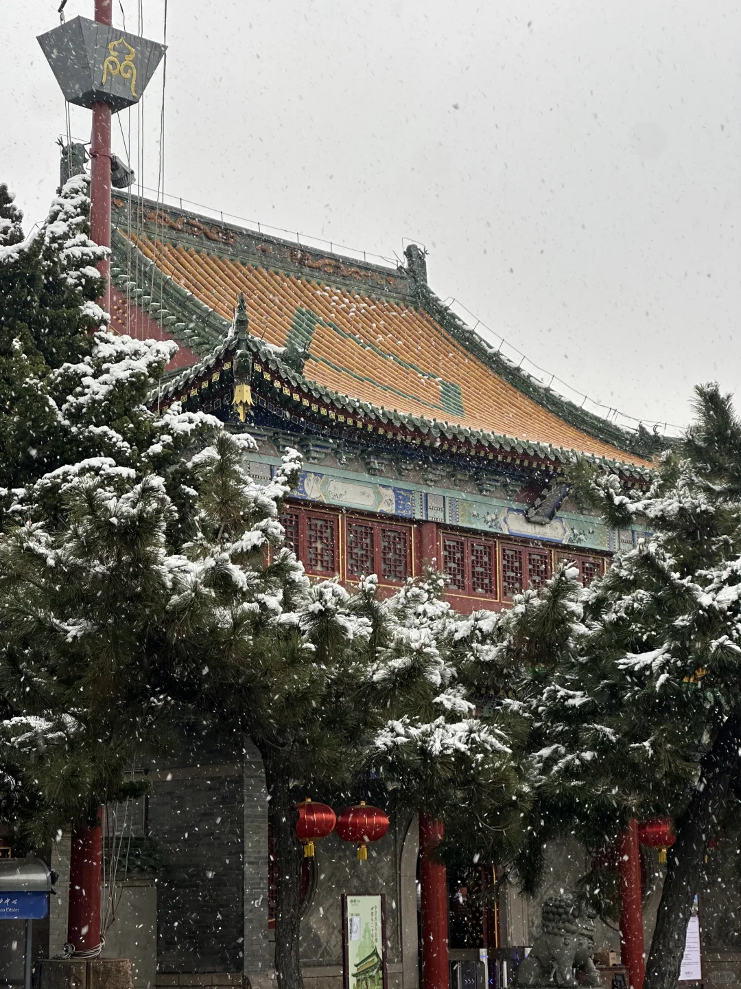 12.13初雪，在下雪天的青岛街道散步❄️