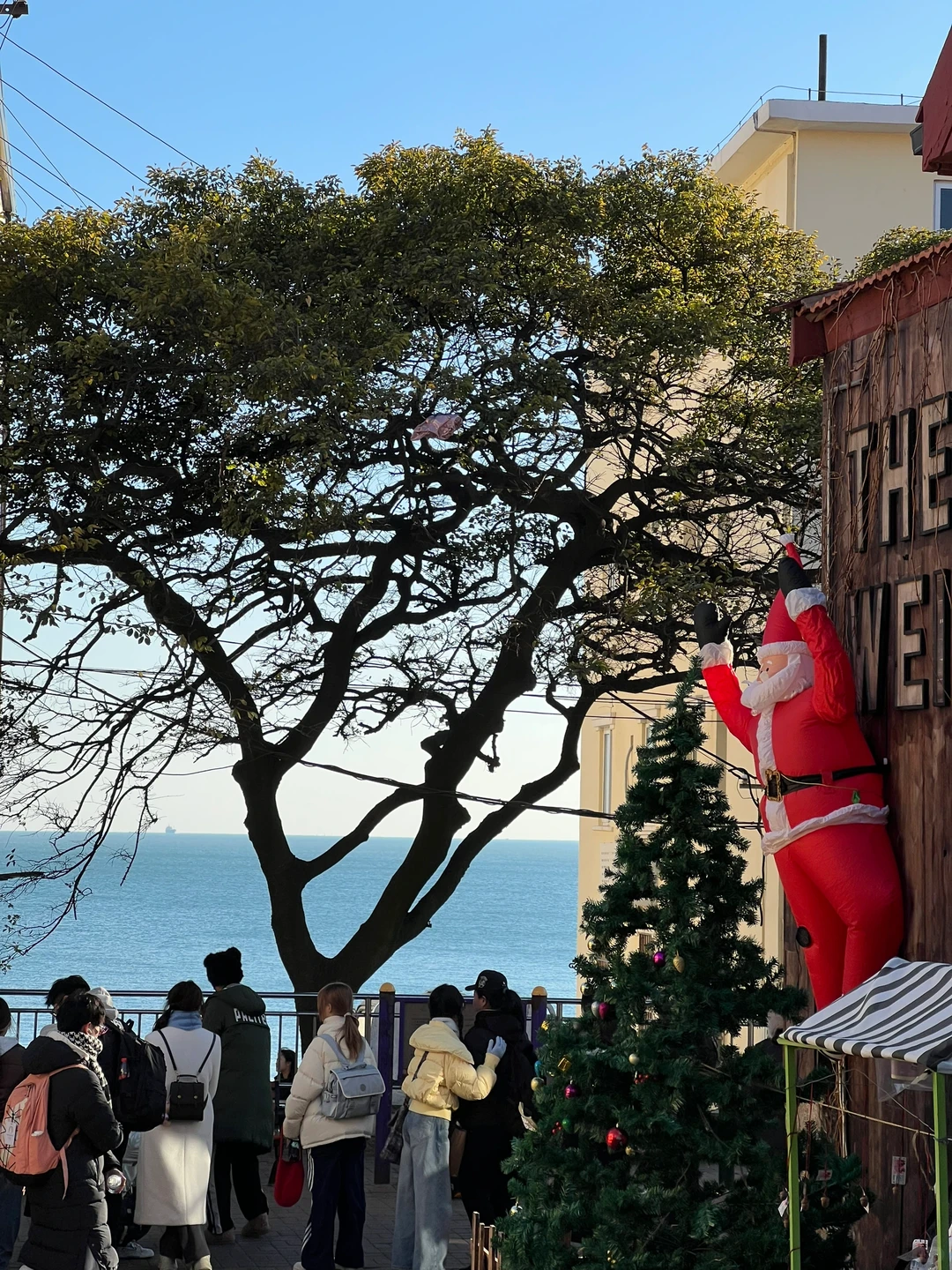 淡季的青岛，是人间理想🚶