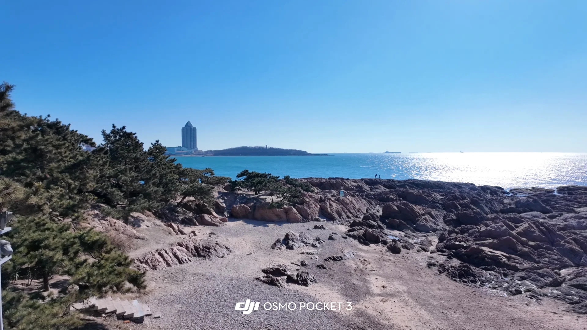 📍1.14来青岛了！冬天的大海怎么能不爱！