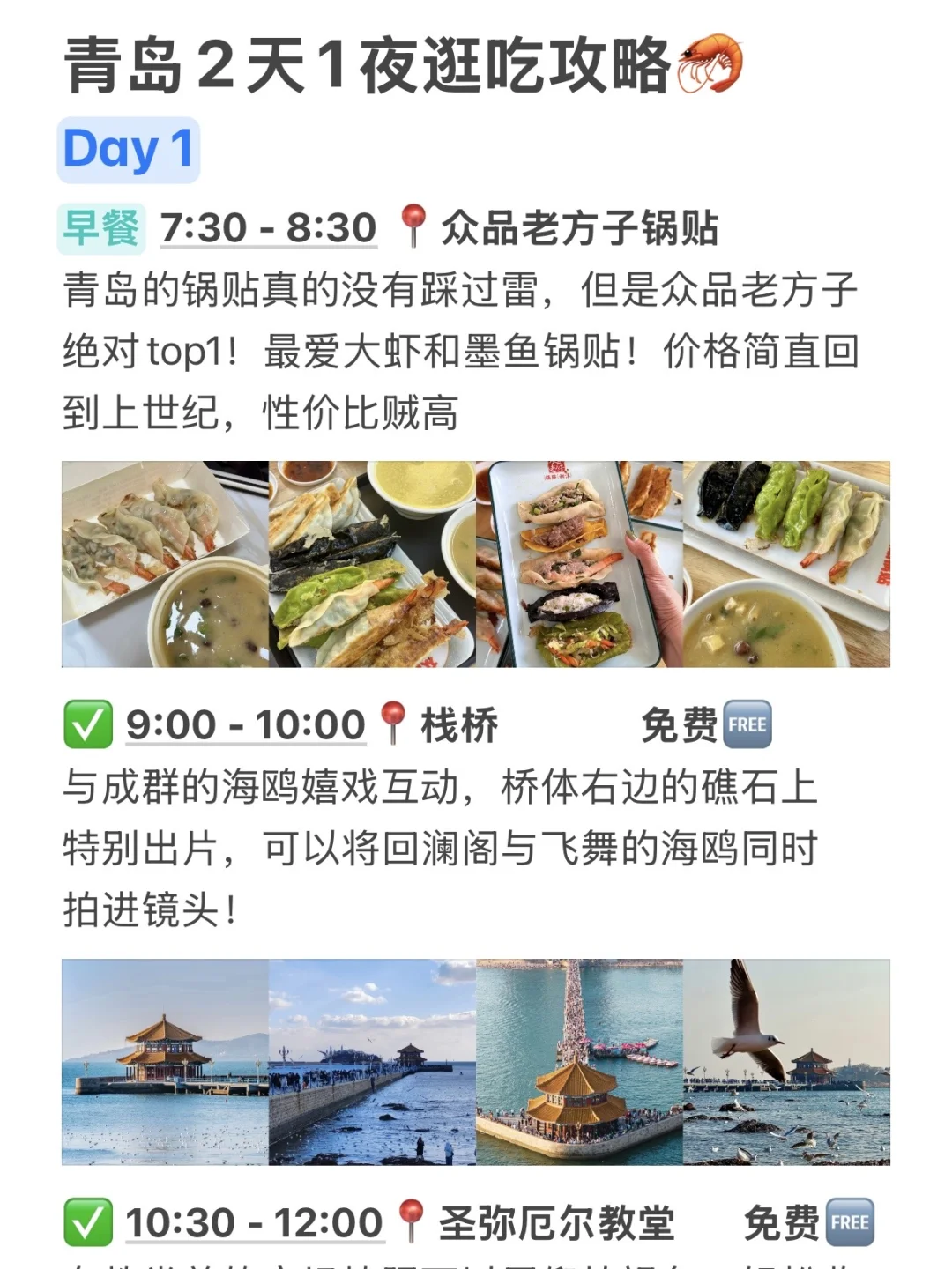 被自己做的青岛逛吃攻略满意的睡不着🥹