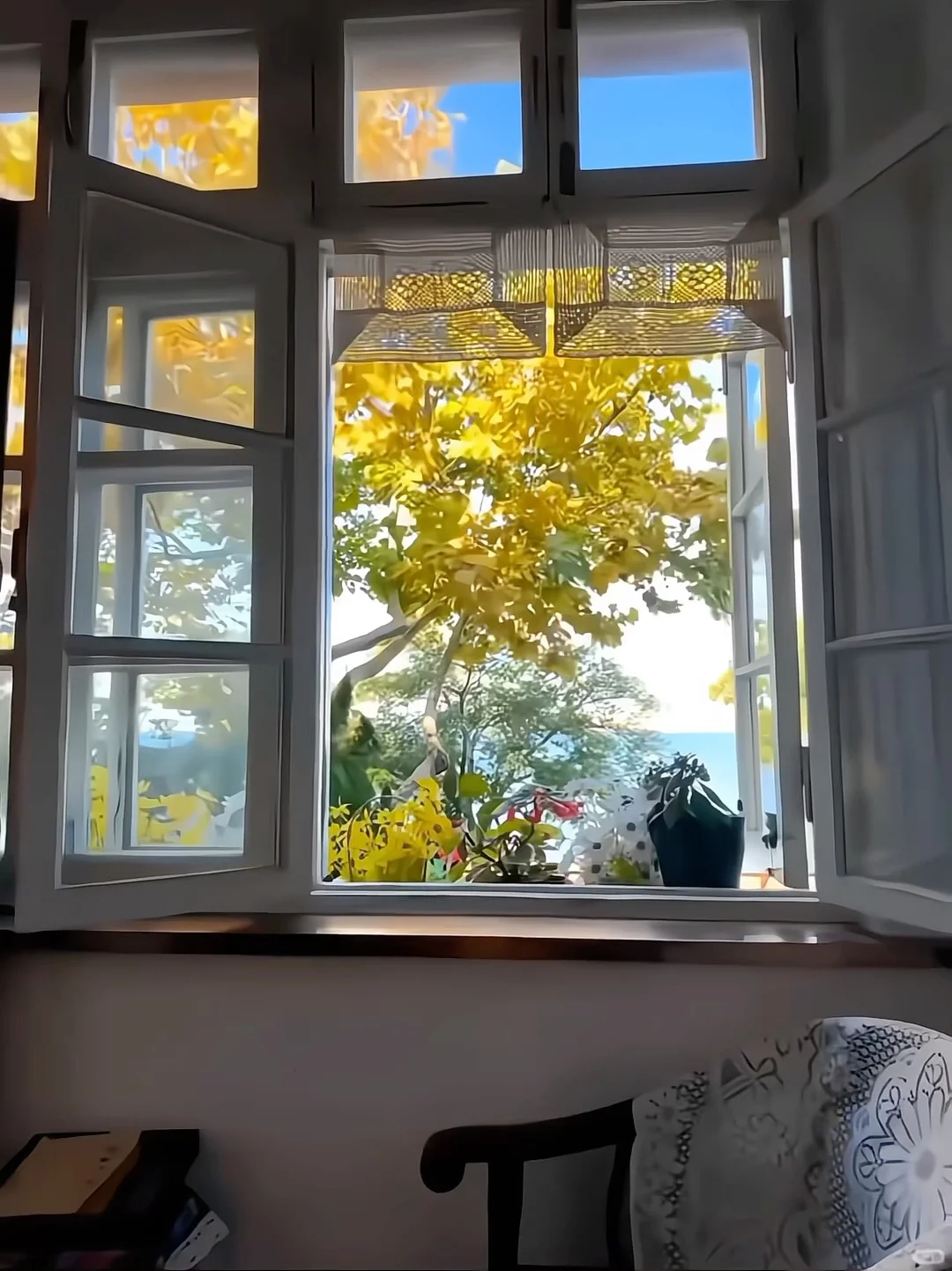 来青岛住我家吧！128俩人😭（12.9后空）