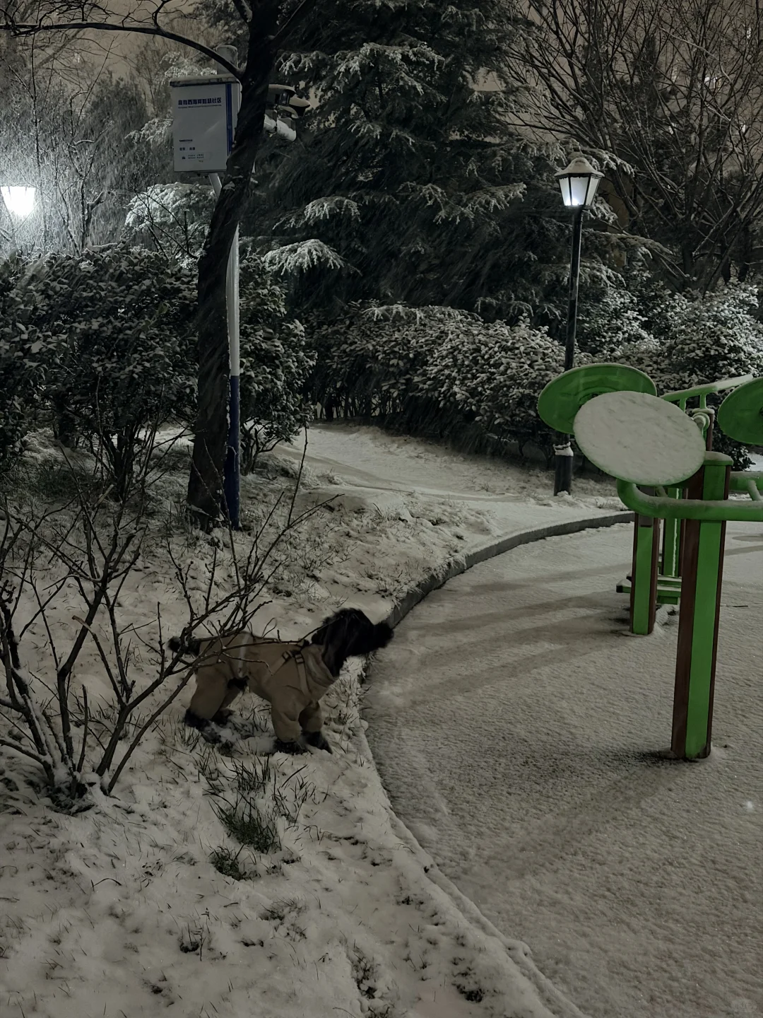 黄岛人！别睡了出门玩雪！！！！！！