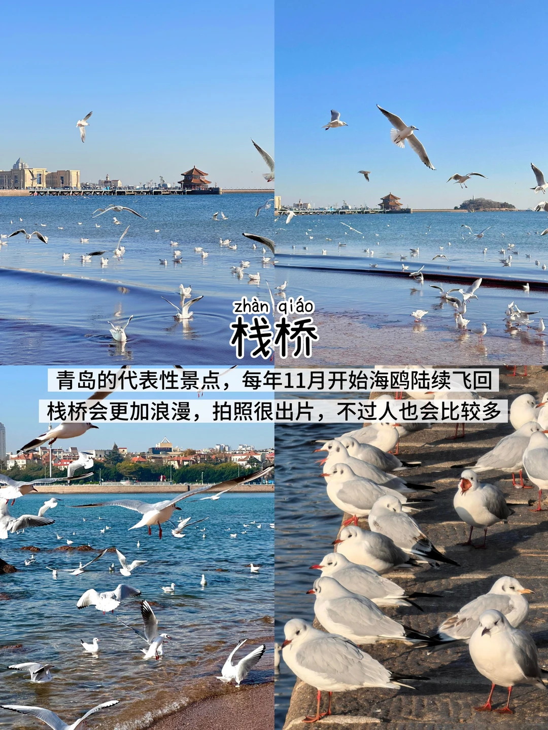 青岛三天两夜📍懒人版保姆级逛吃攻略‼️