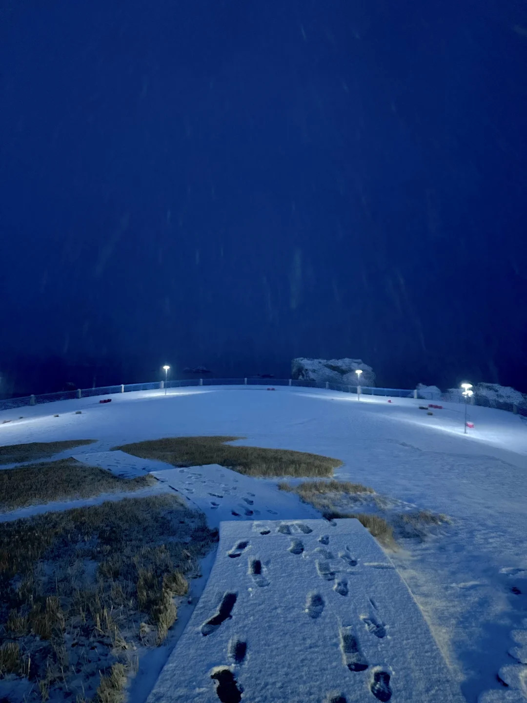 一觉醒来，青岛变成了冰雪世界❄️