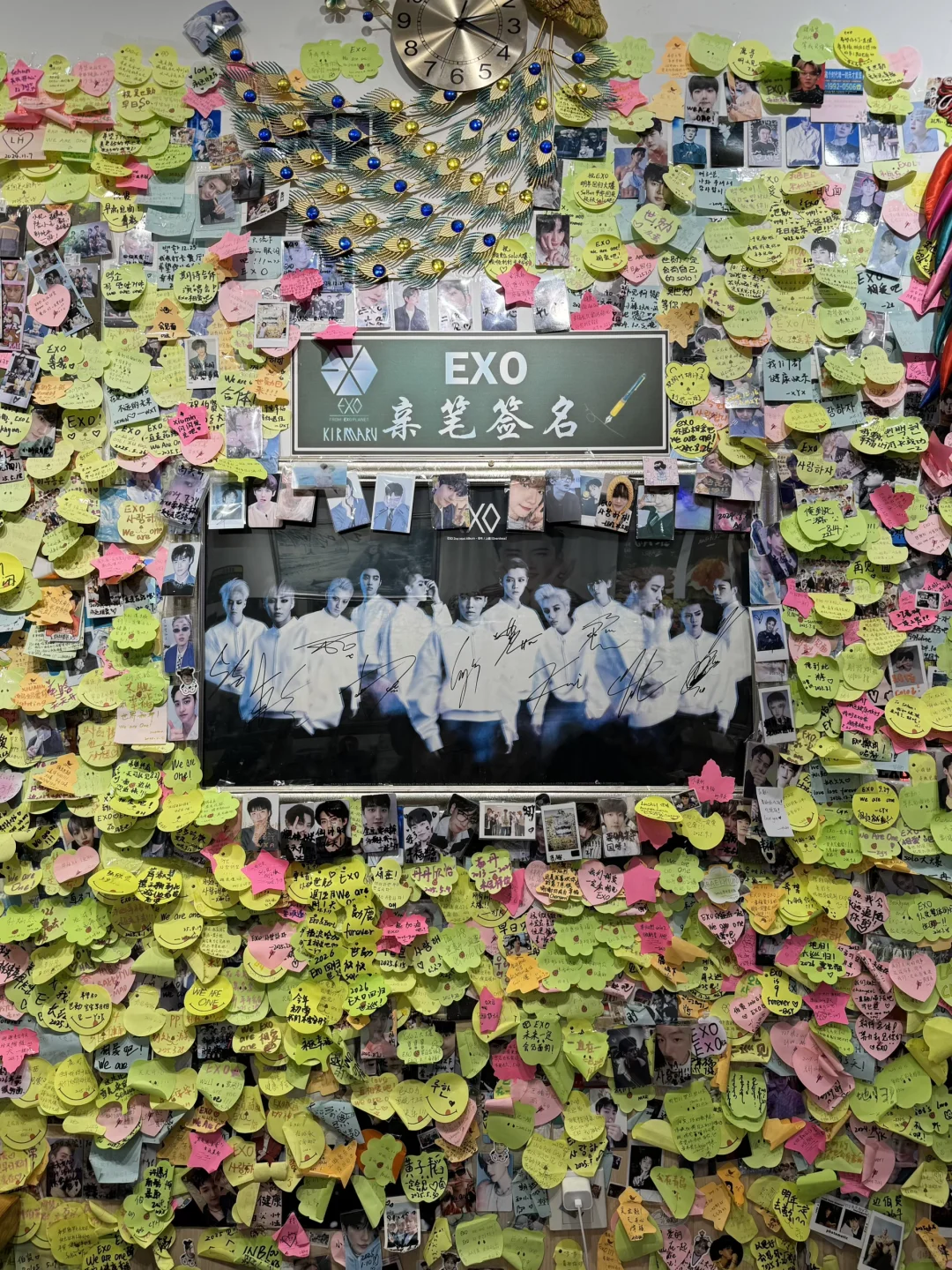 不踩雷！！离开青岛前一定要吃！！！！🌊🌳