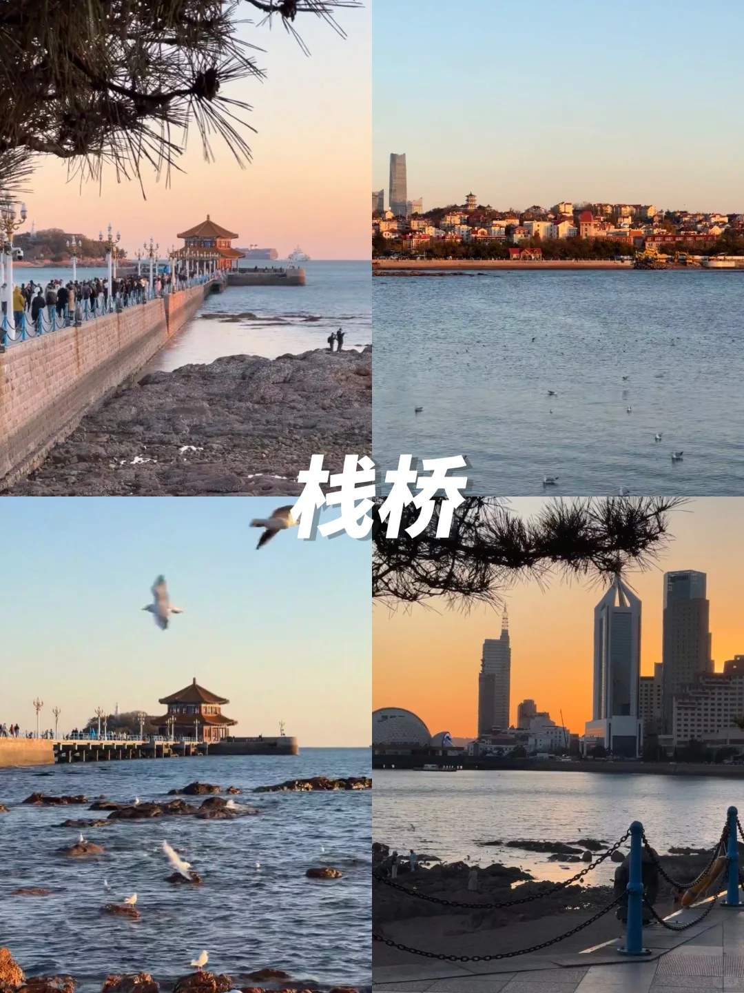 12月来青岛的进👏本地人带路不踩雷攻略‼️