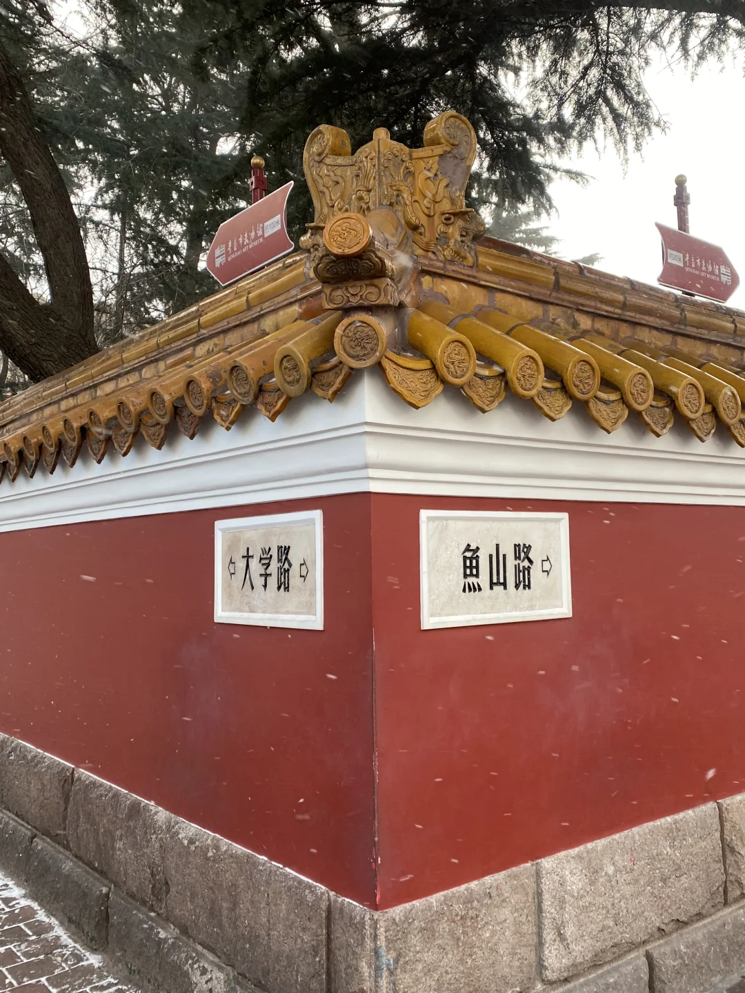 📍雪后的青岛氛围感真的好强！