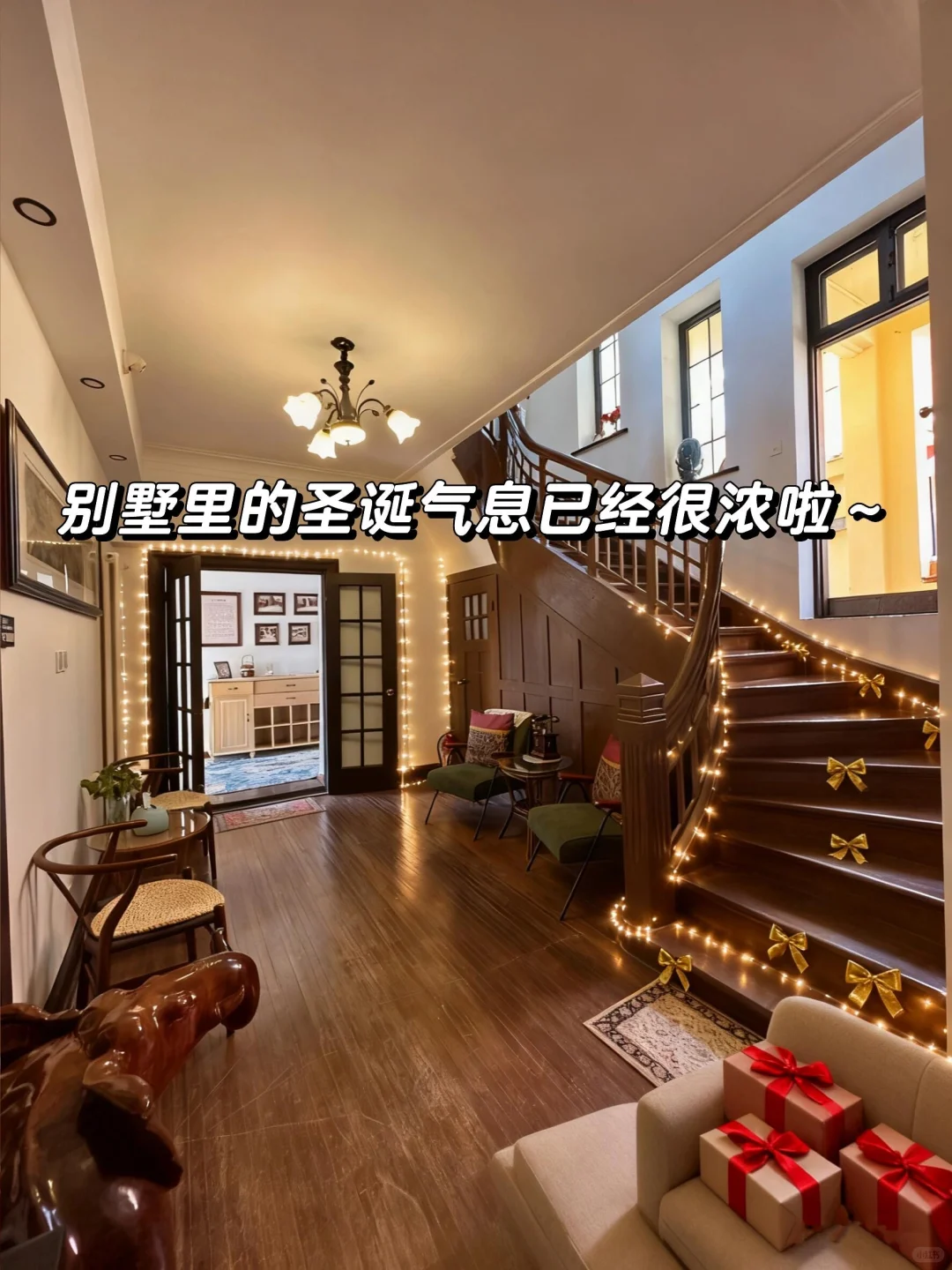 来青岛住我家吧！128俩人😭（12.12后空）