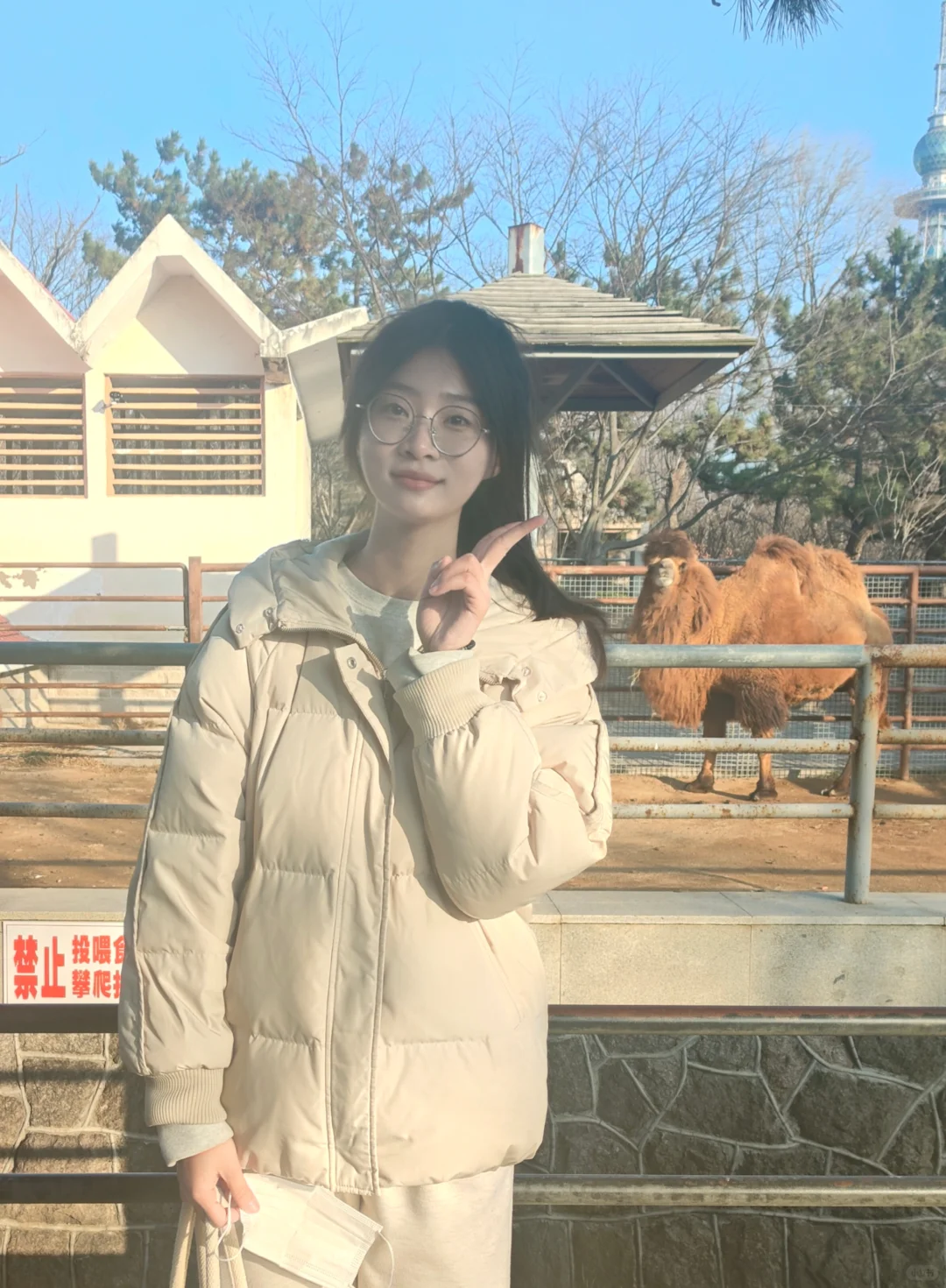 突然翻到了两年前冬天的照片