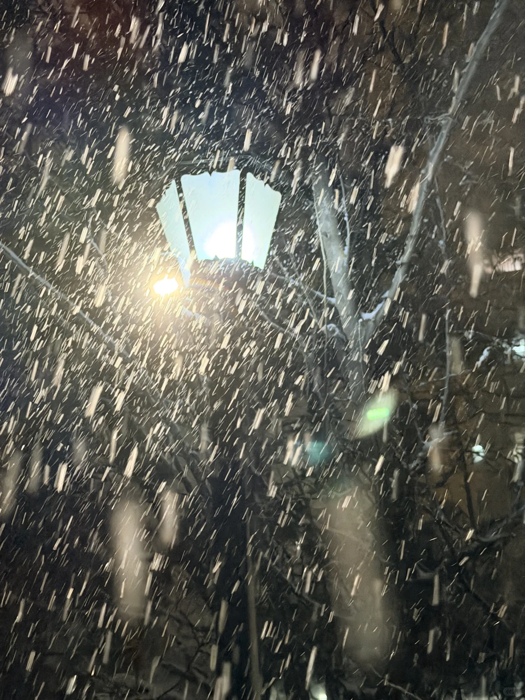 黄岛人！别睡了出门玩雪！！！！！！