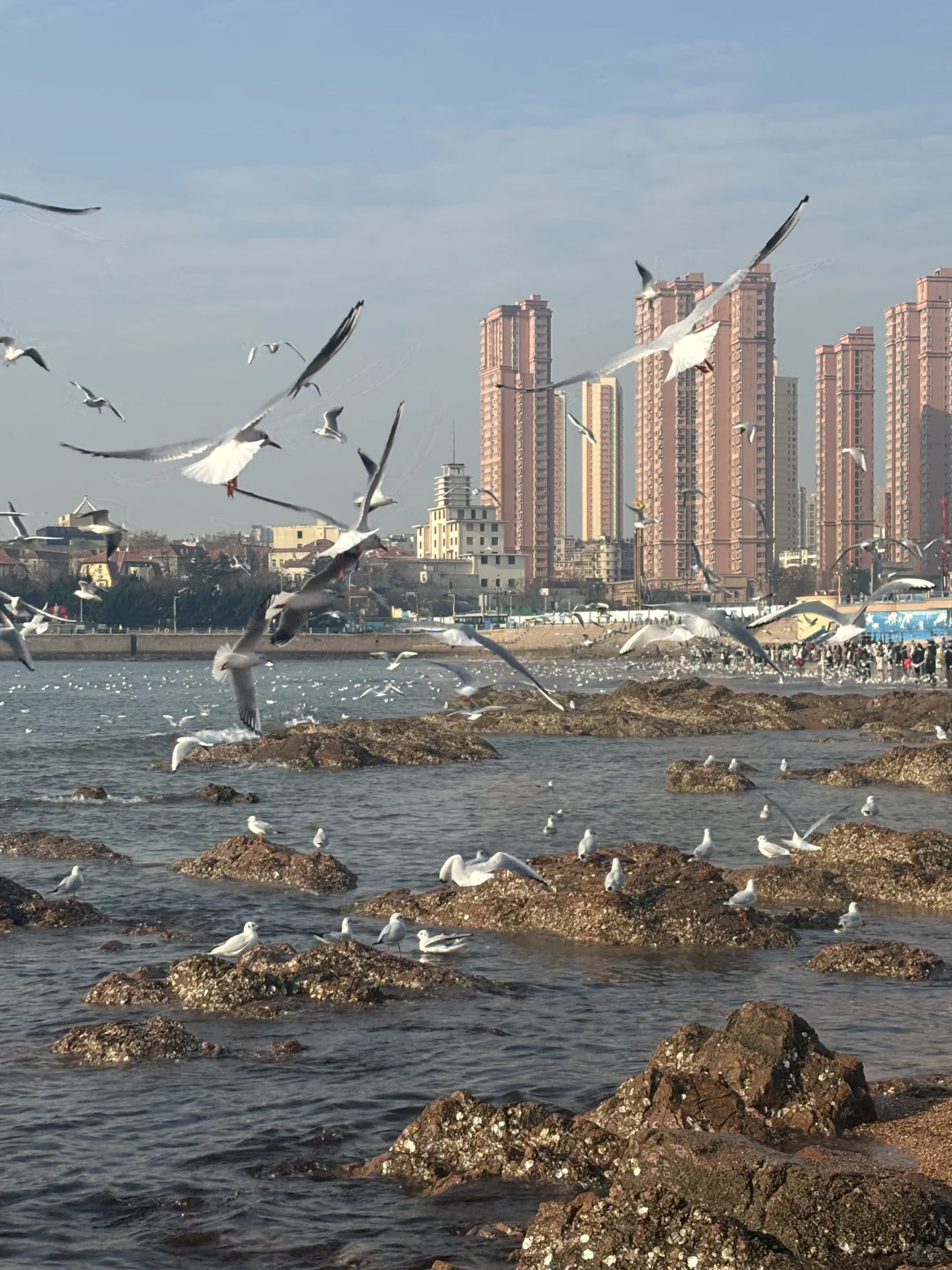 人均2.5k广州出发，山东追雪5日游之青岛站❄️