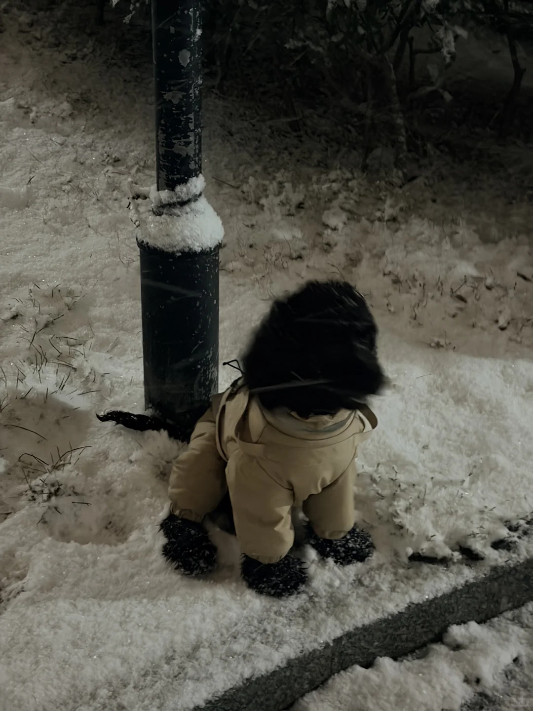 黄岛人！别睡了出门玩雪！！！！！！