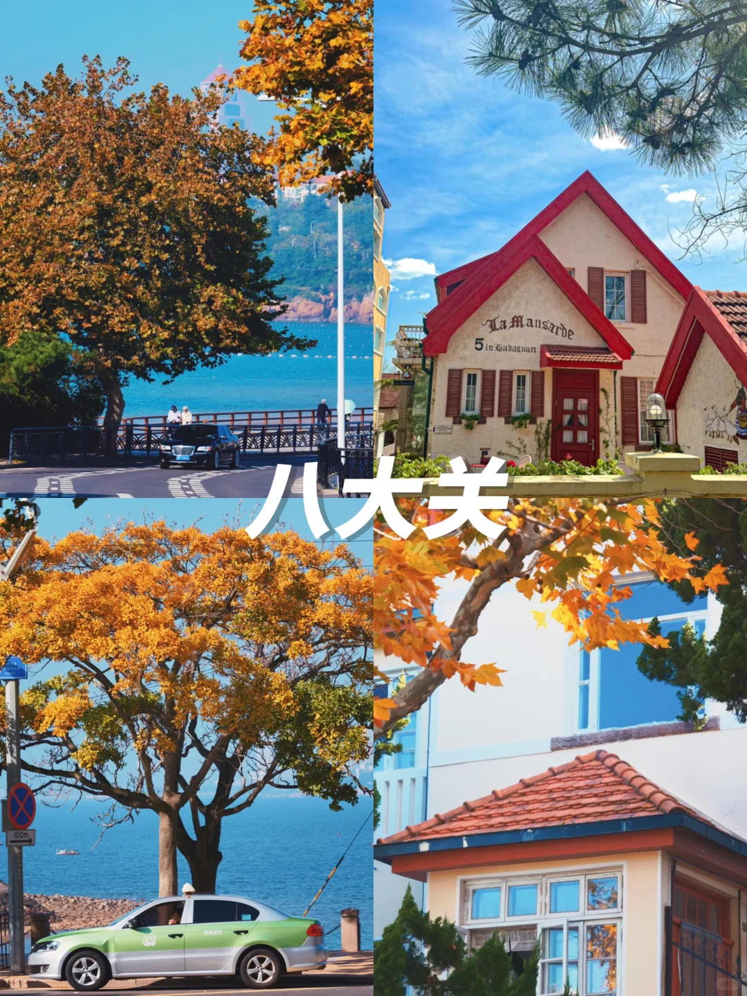 12月来青岛的进👏本地人带路不踩雷攻略‼️