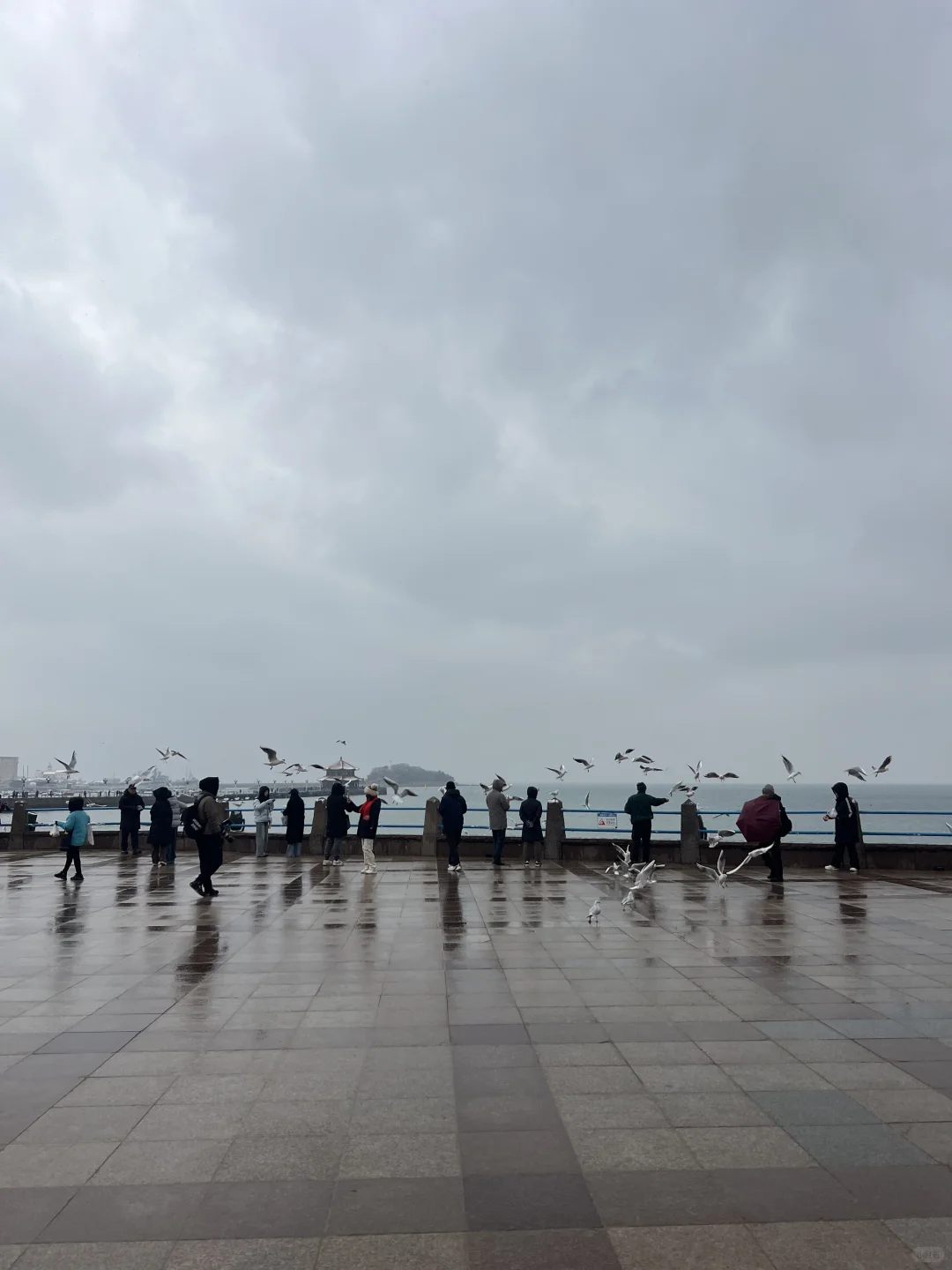 青岛栈桥粉丝/家禾免费拍