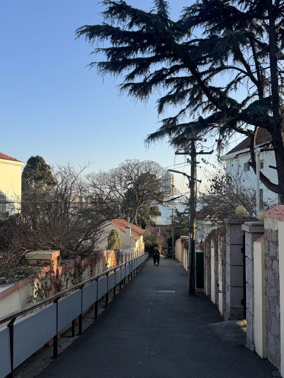 📍12.14号青岛实况 下雪后的青岛真的好美！