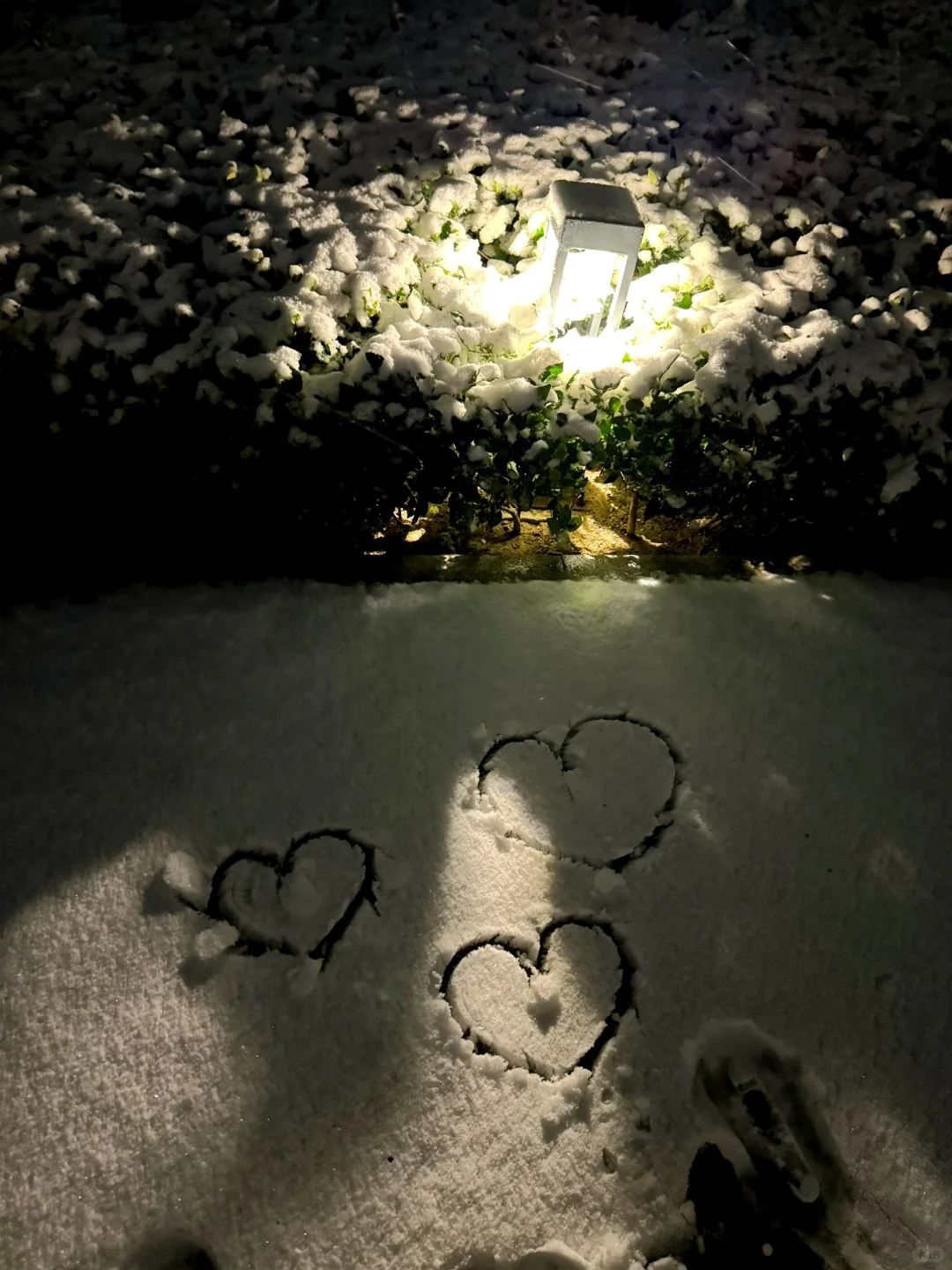 2025年双十二夜晚，青岛的初雪太浪漫了❄️