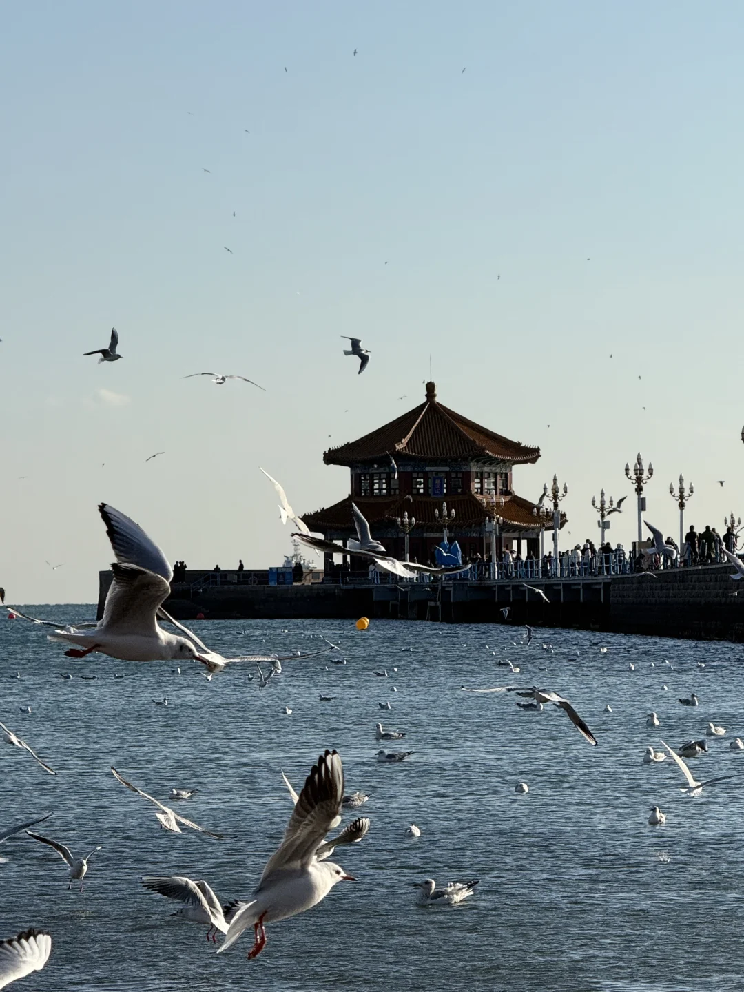 来青岛的第一站！！不要直奔栈桥！！！