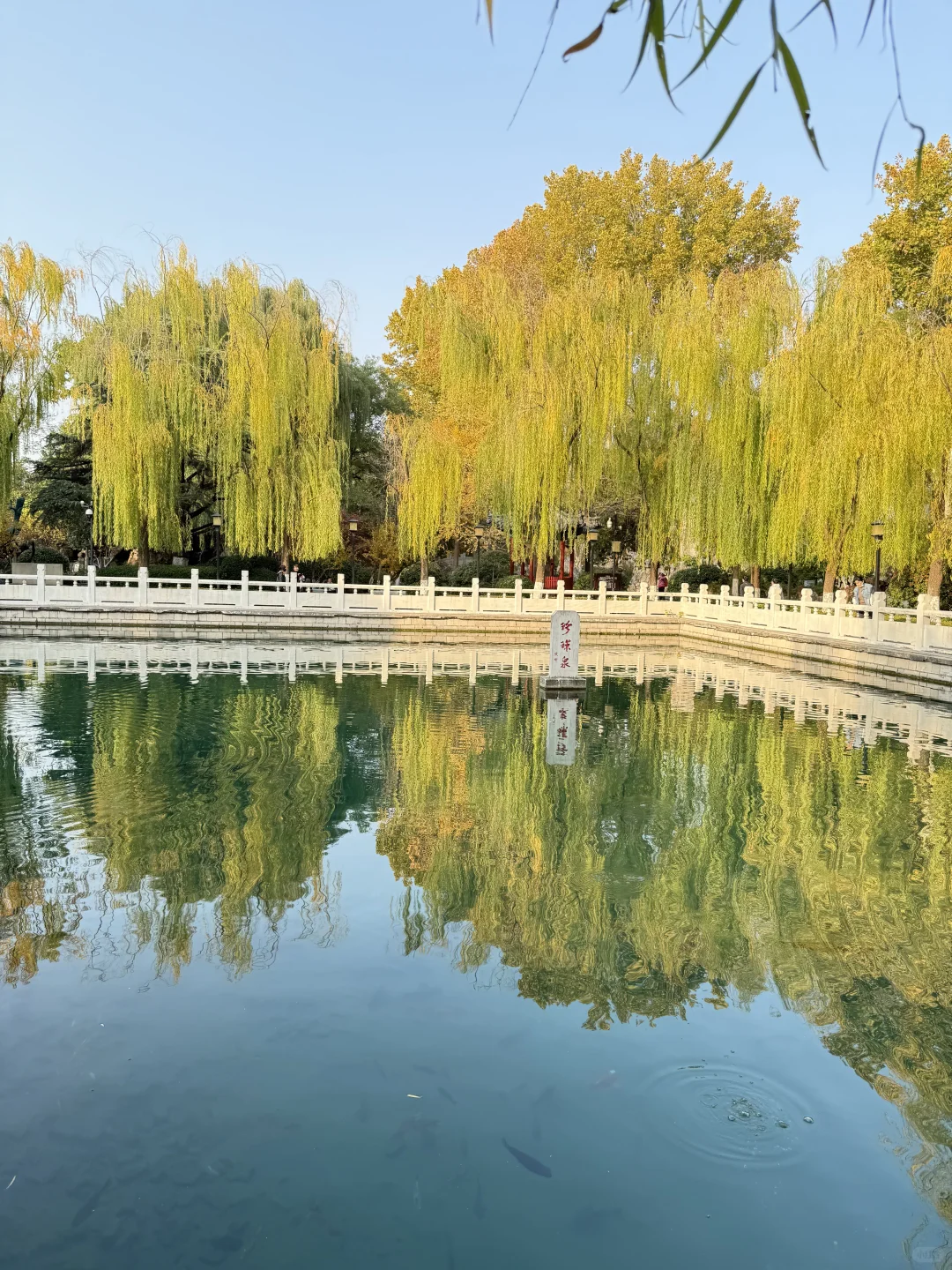 📍济南｜总滴来趟！！