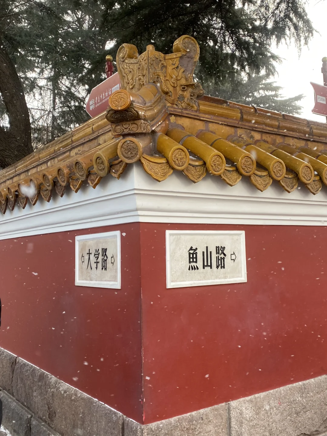📍雪后的青岛氛围感真的好强！