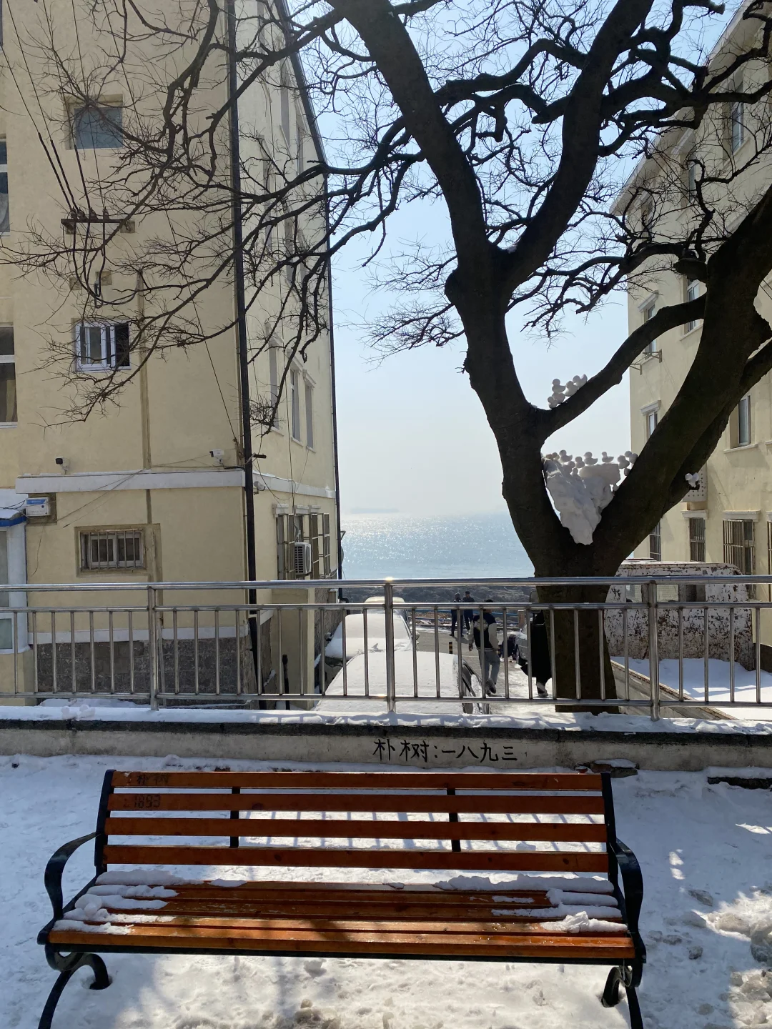 📍雪后的青岛氛围感真的好强！