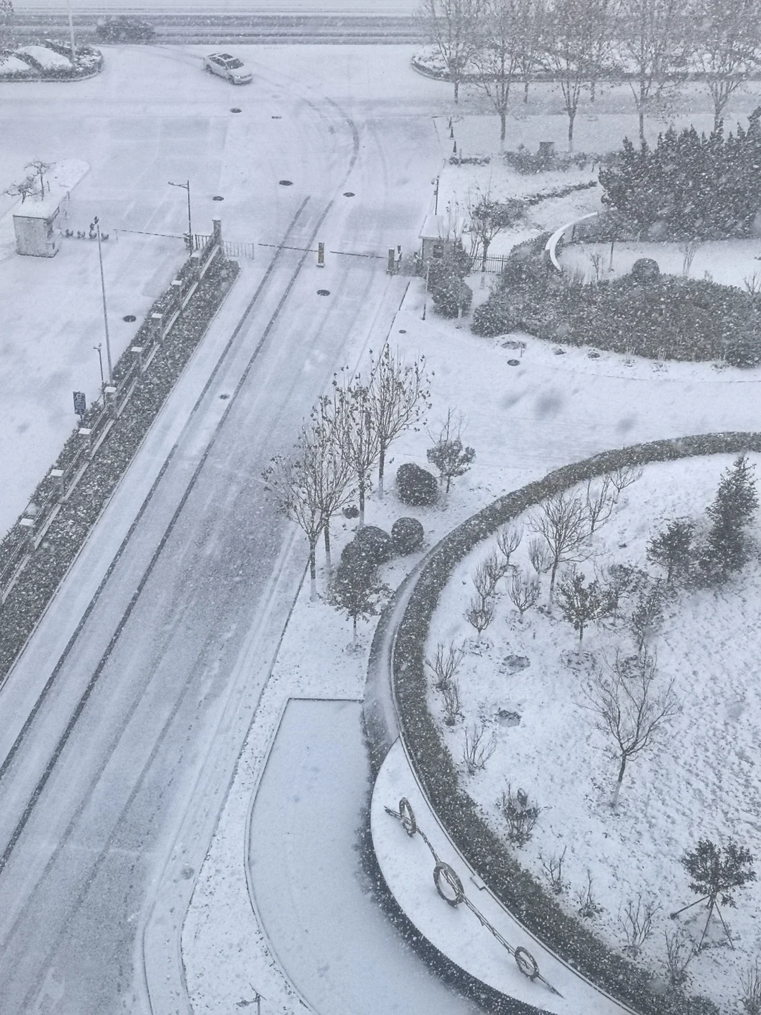 烟台的第一场雪来的好猛