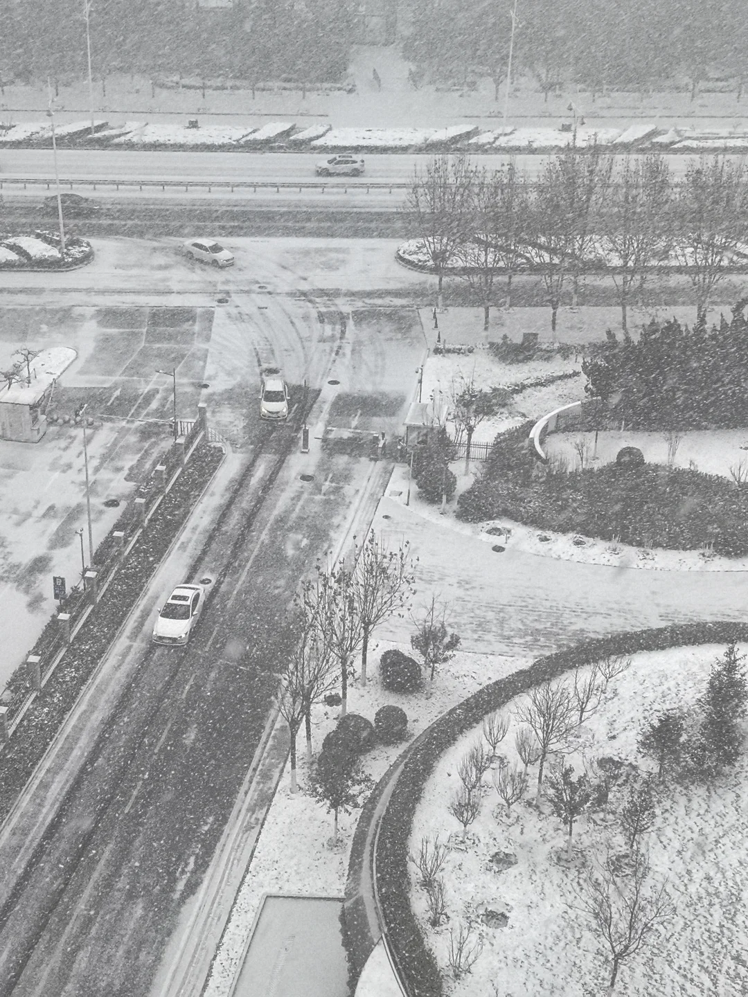 烟台的第一场雪来的好猛