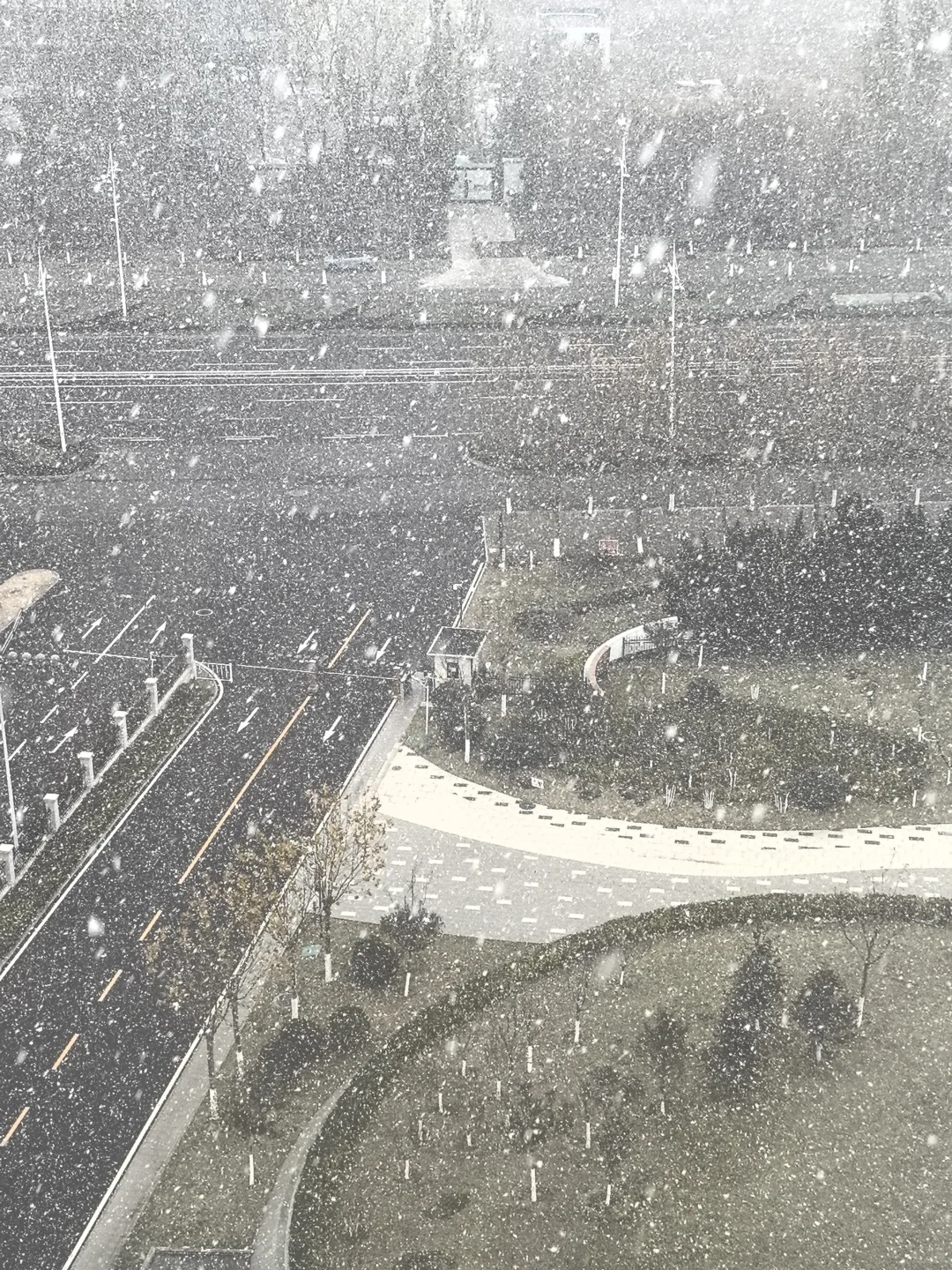 烟台的第一场雪来的好猛