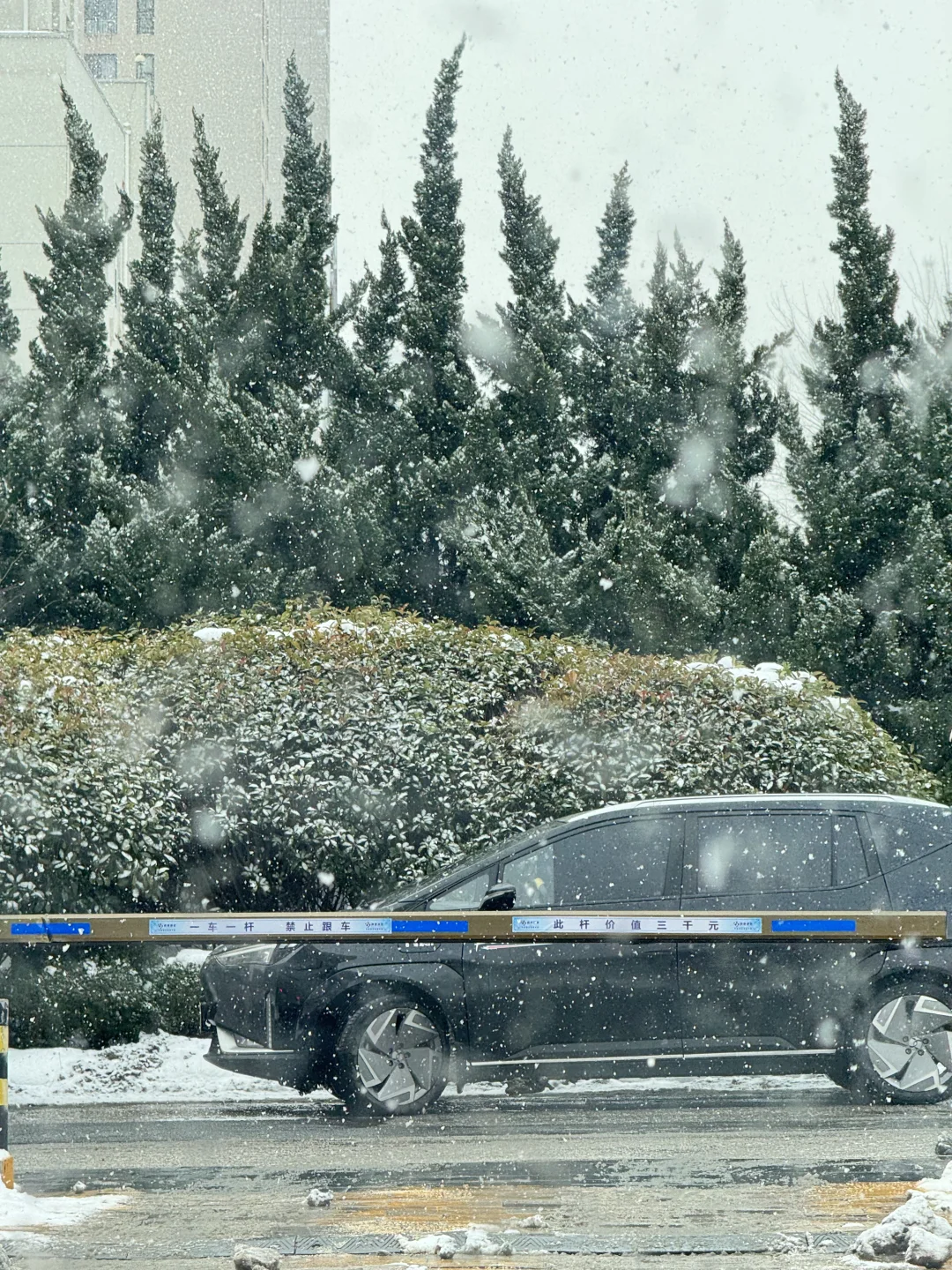 “后来我逢人便说，烟台的冬天有多美❄️”