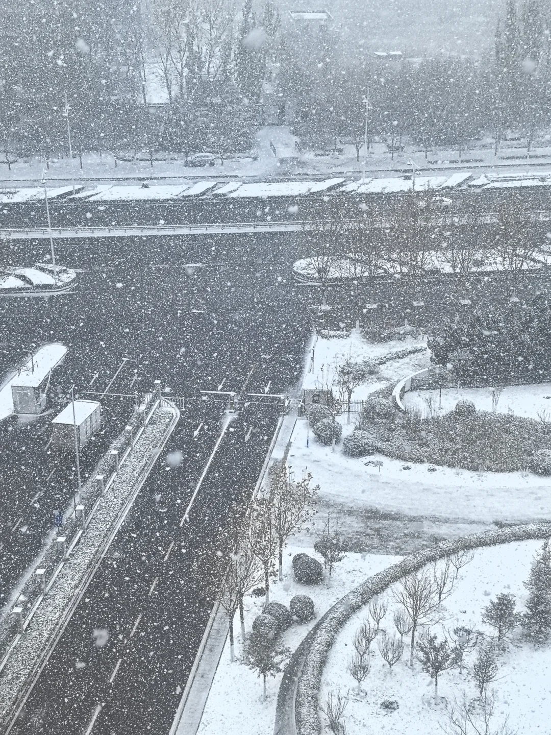 烟台的第一场雪来的好猛