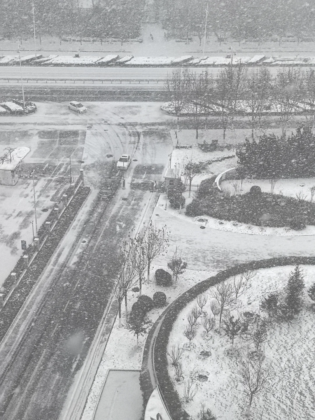烟台的第一场雪来的好猛