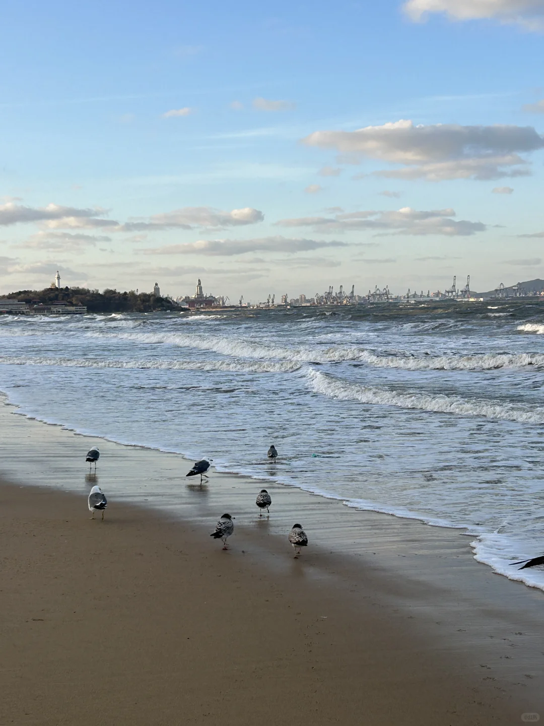 烟台！！12·11实拍！又是浪漫的一天啊