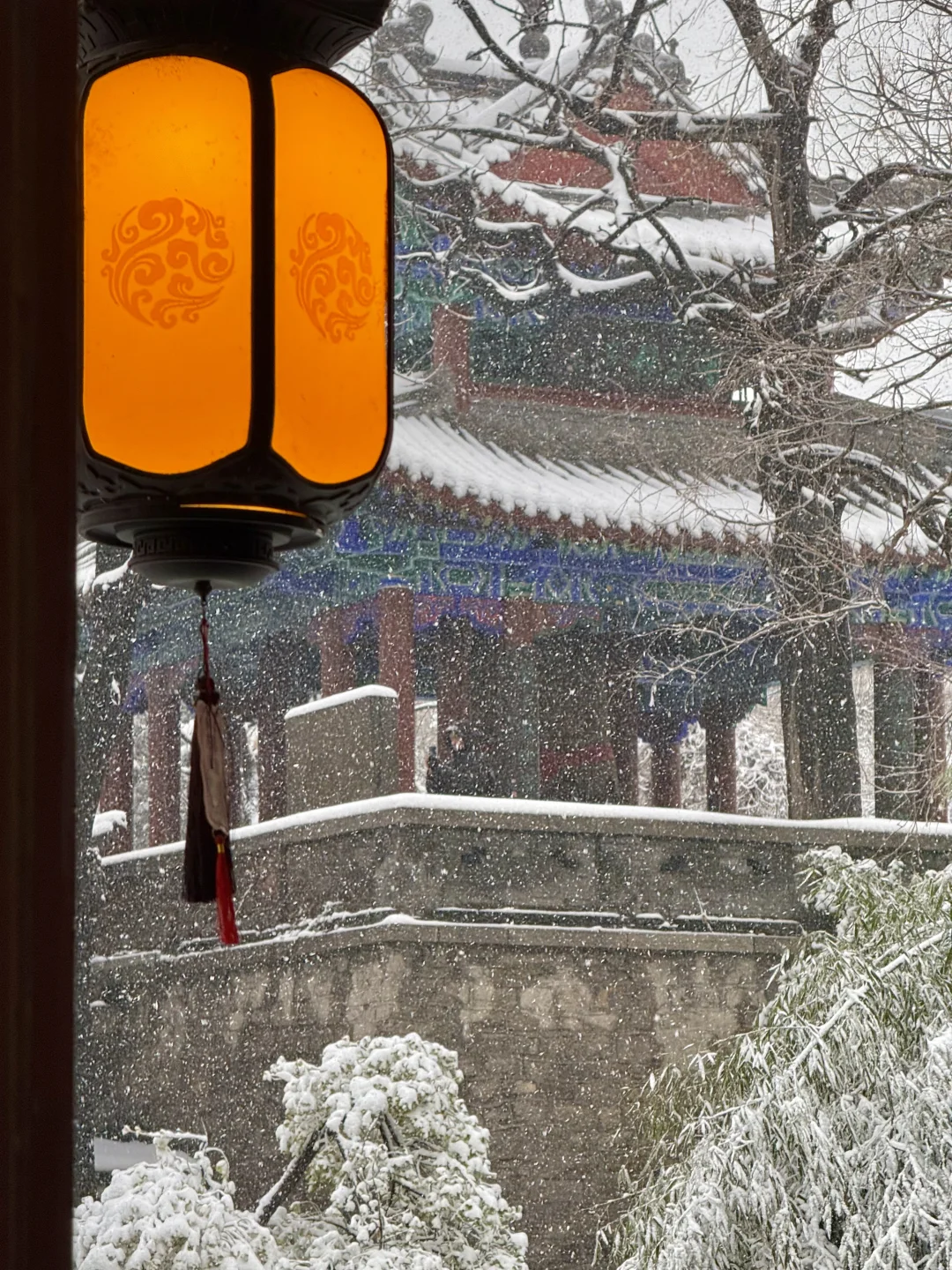 济南12.13实况，暴雪中的大明湖已经美疯了….