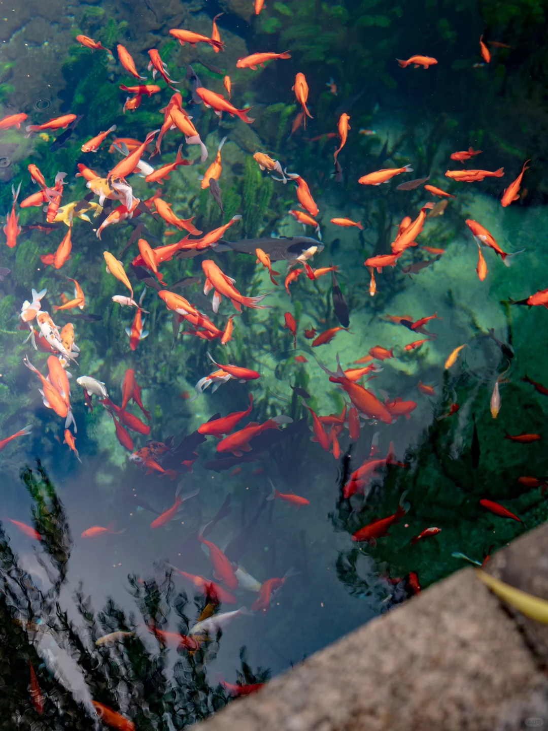 为了这18张照片📷特意去了趟济南（附机位）