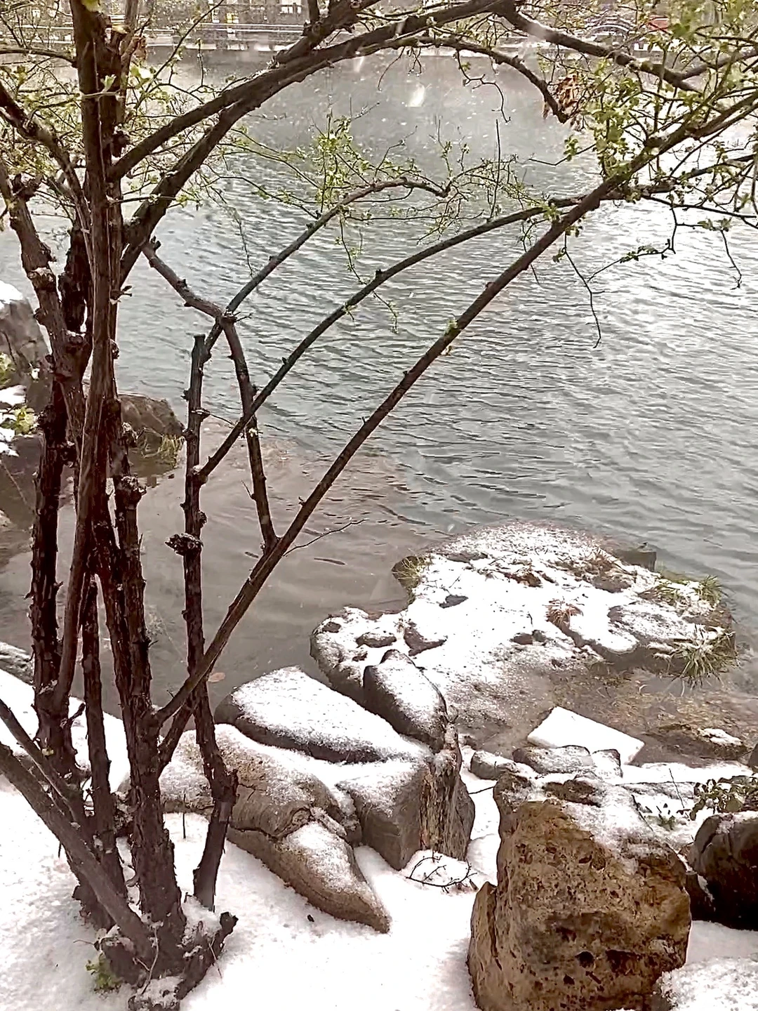 济南今天杀疯了！！！！！！！！！！！