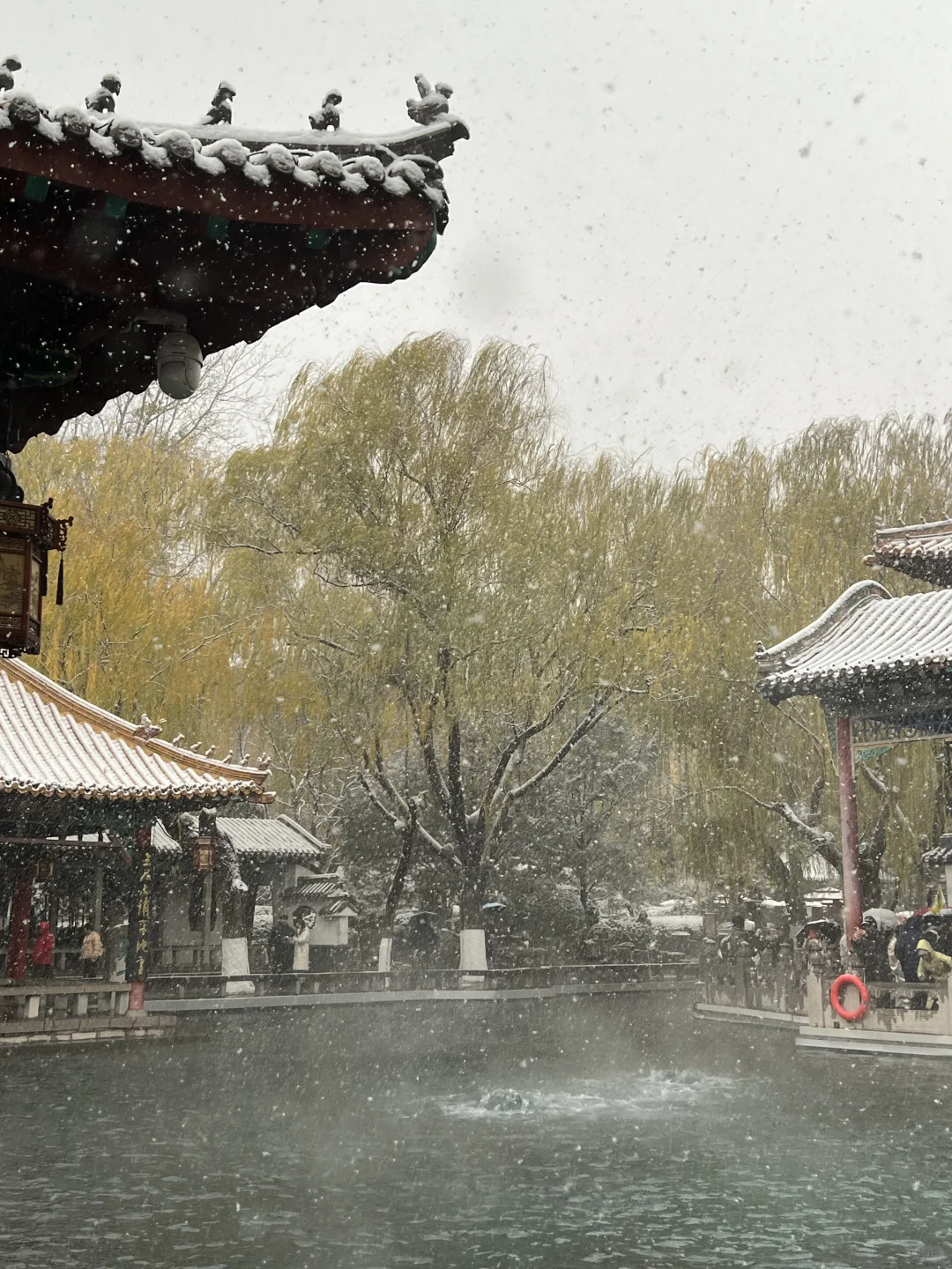 济南12.12实况。。。暴雪中的趵突泉杀疯了！！