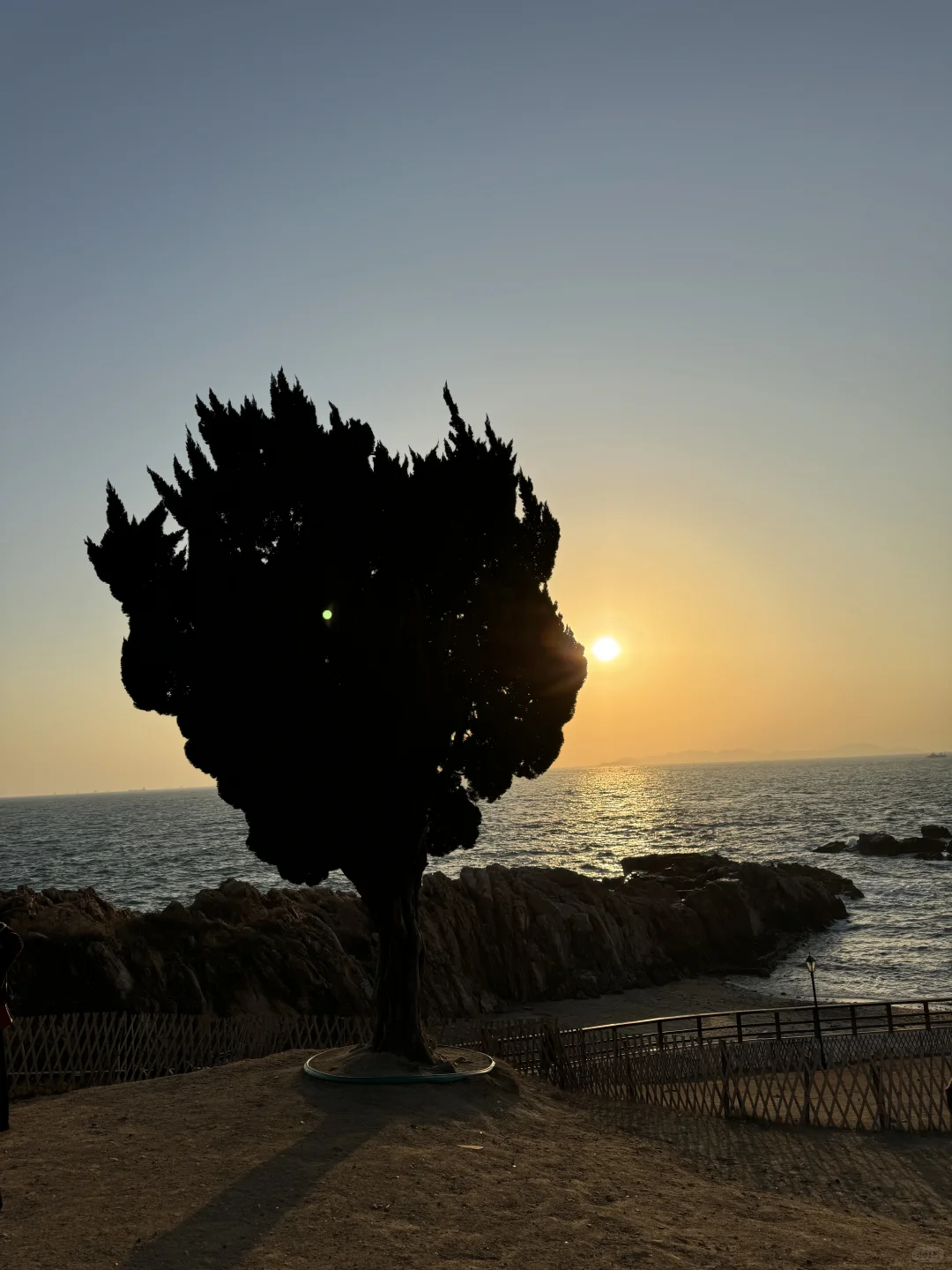 秋冬不露腿穿搭合集🌊青岛好美～下次还来！