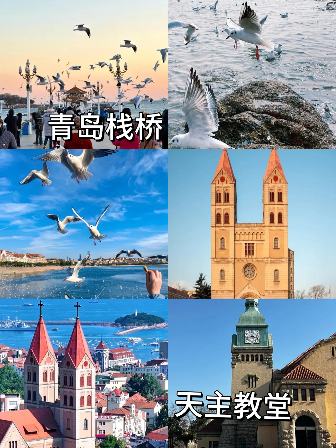 青岛📍特种兵两天一夜游